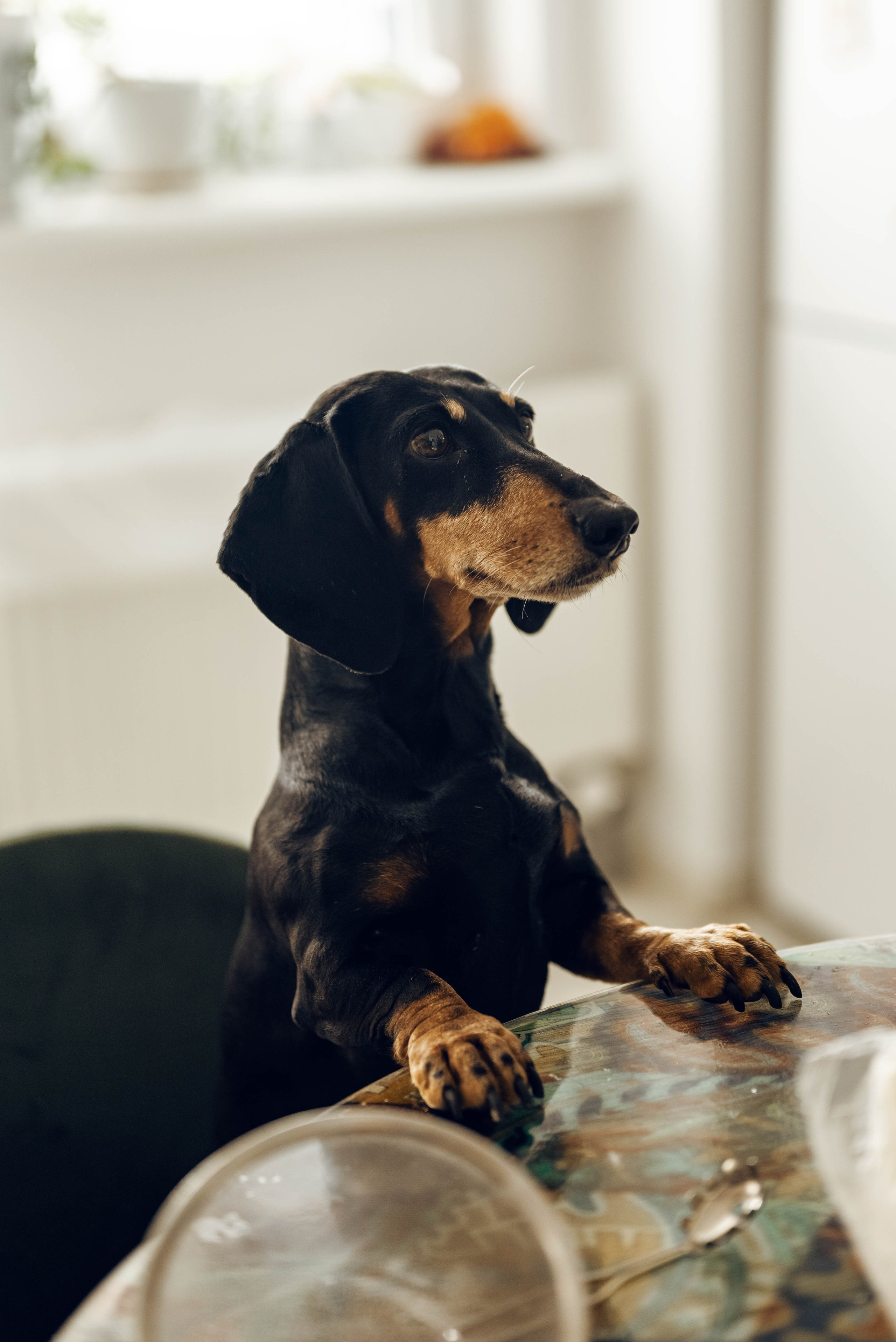 Александра, Николай, Соломия. Фотограф Ирина Новикова