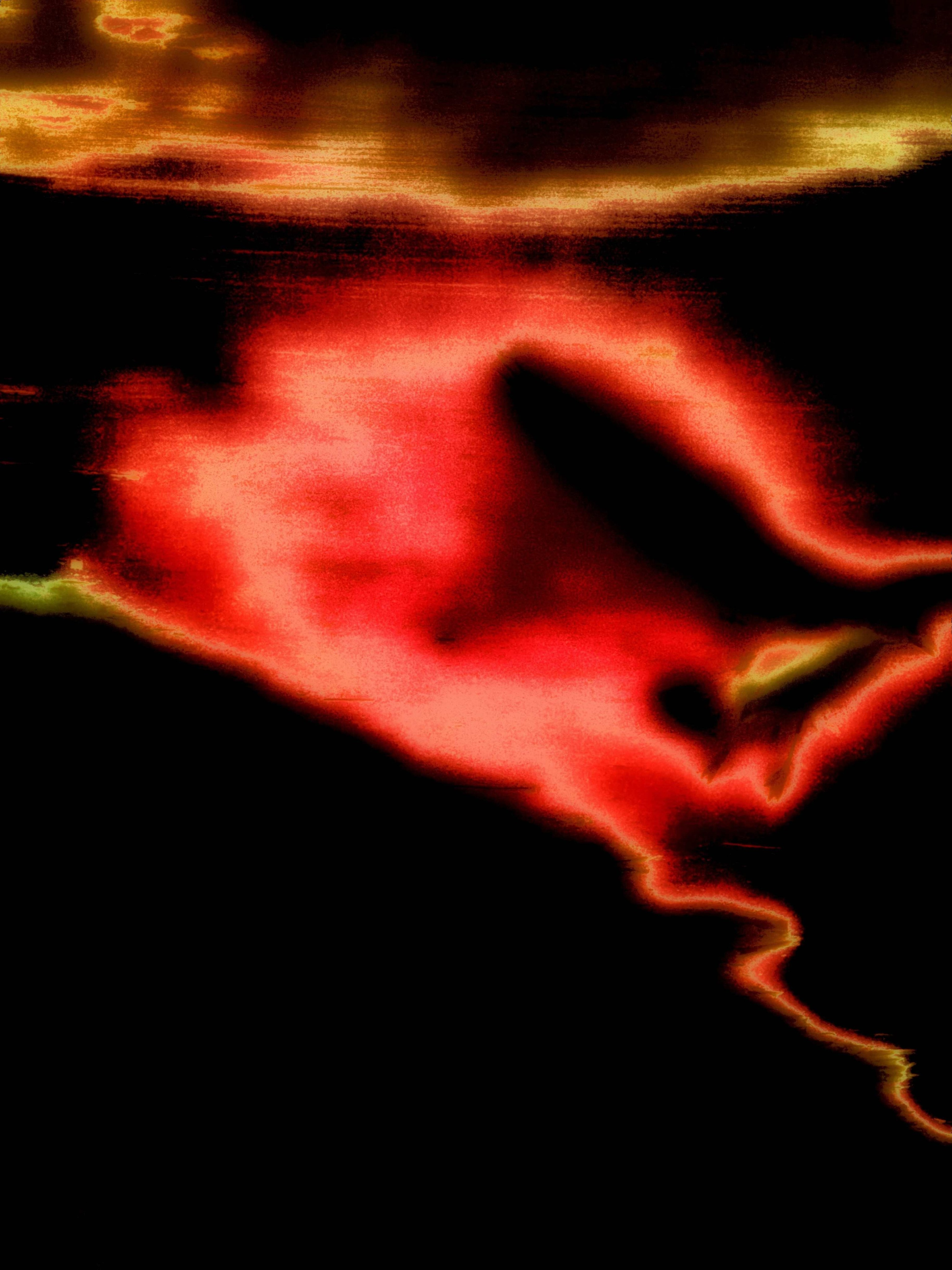 SEAGULLS. Irina Owlik — Visual Artist