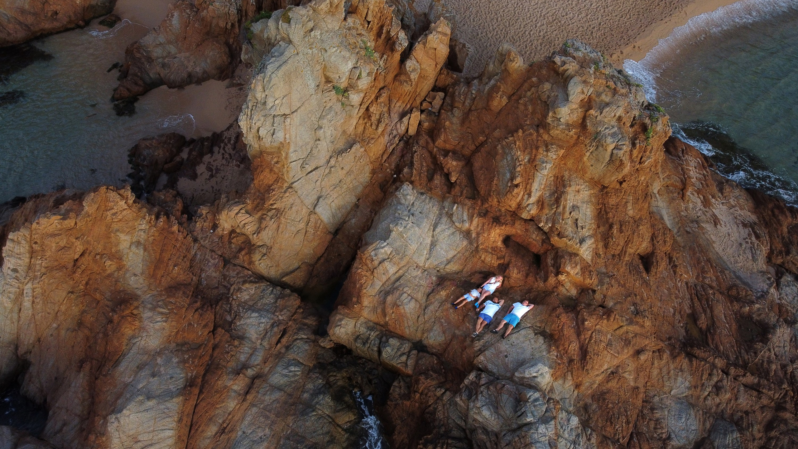 Familie. Hochzeit und Familien Foto und Video