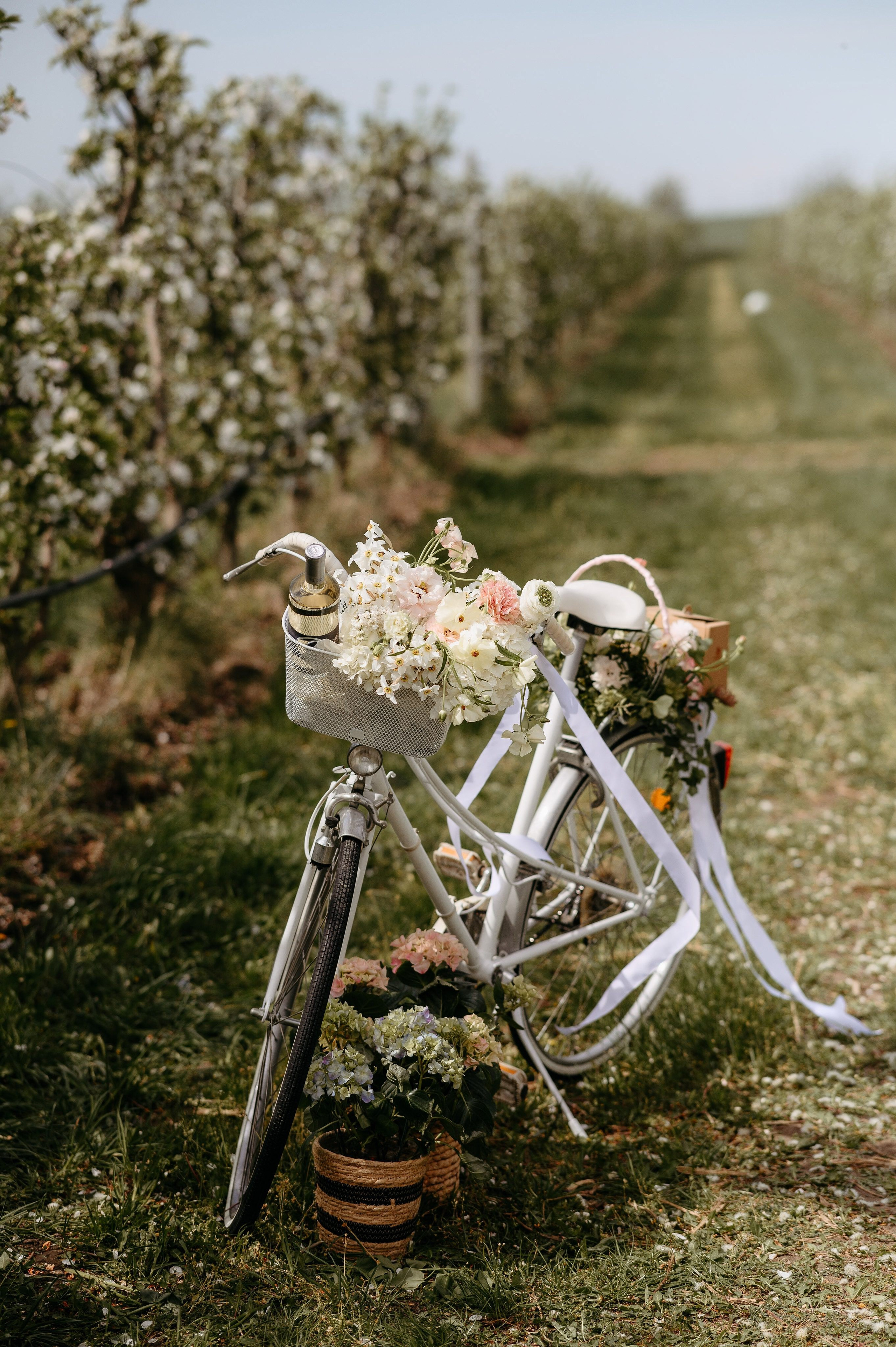 Elena. Valentin Melen - fotograf de nunta 🤍
