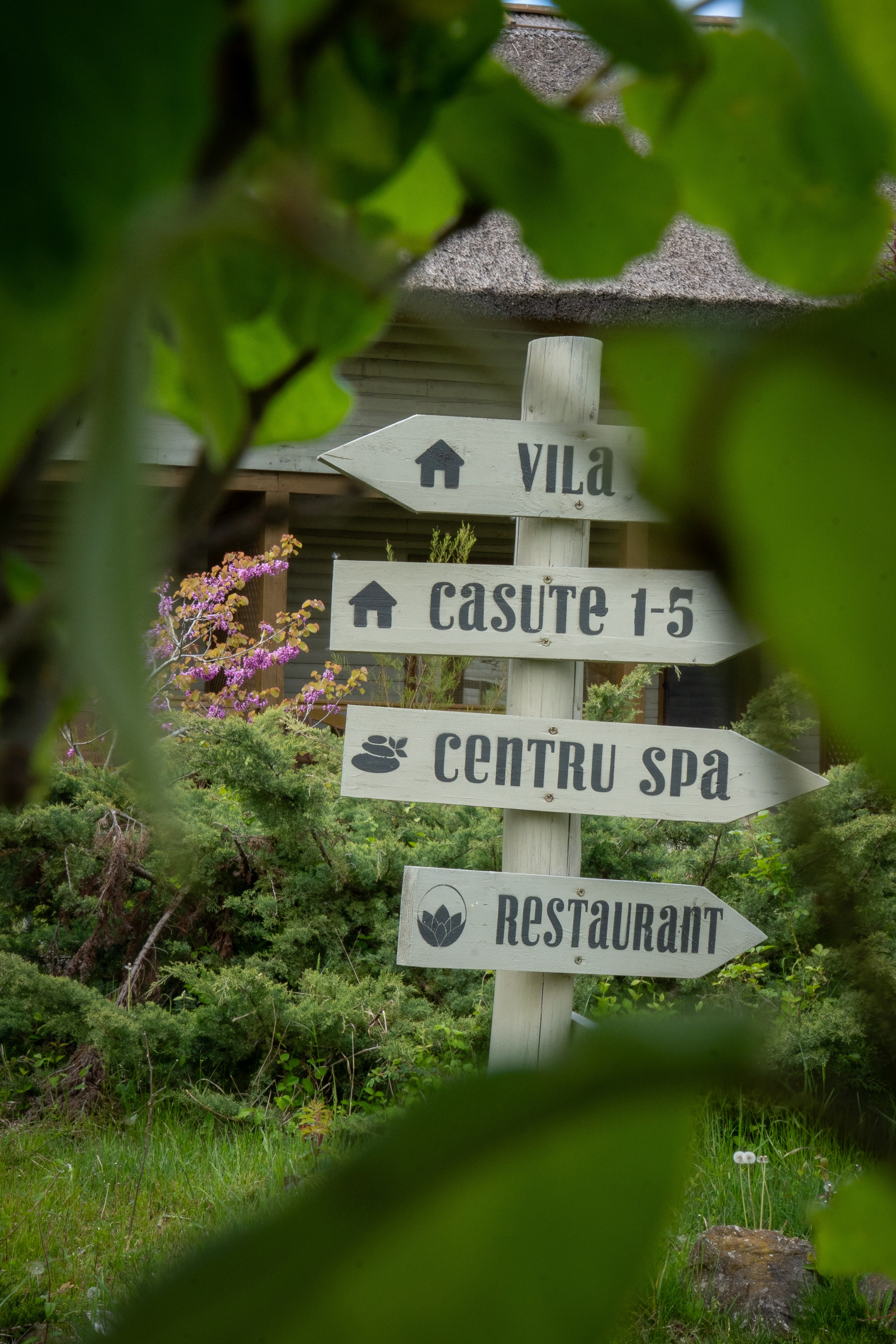 Green Village. Creste si calatoreste
