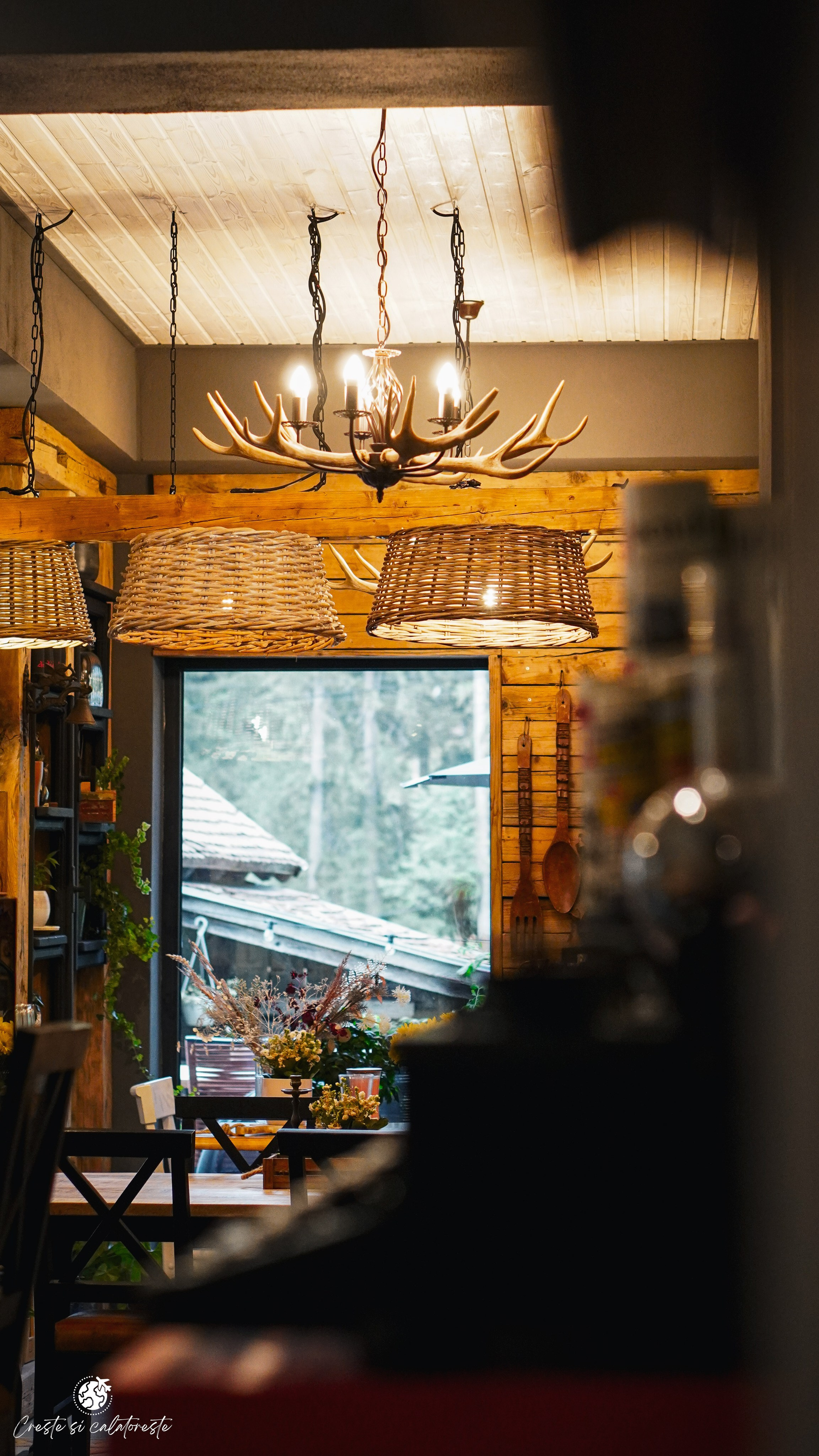 Bransilvania. Creste si calatoreste