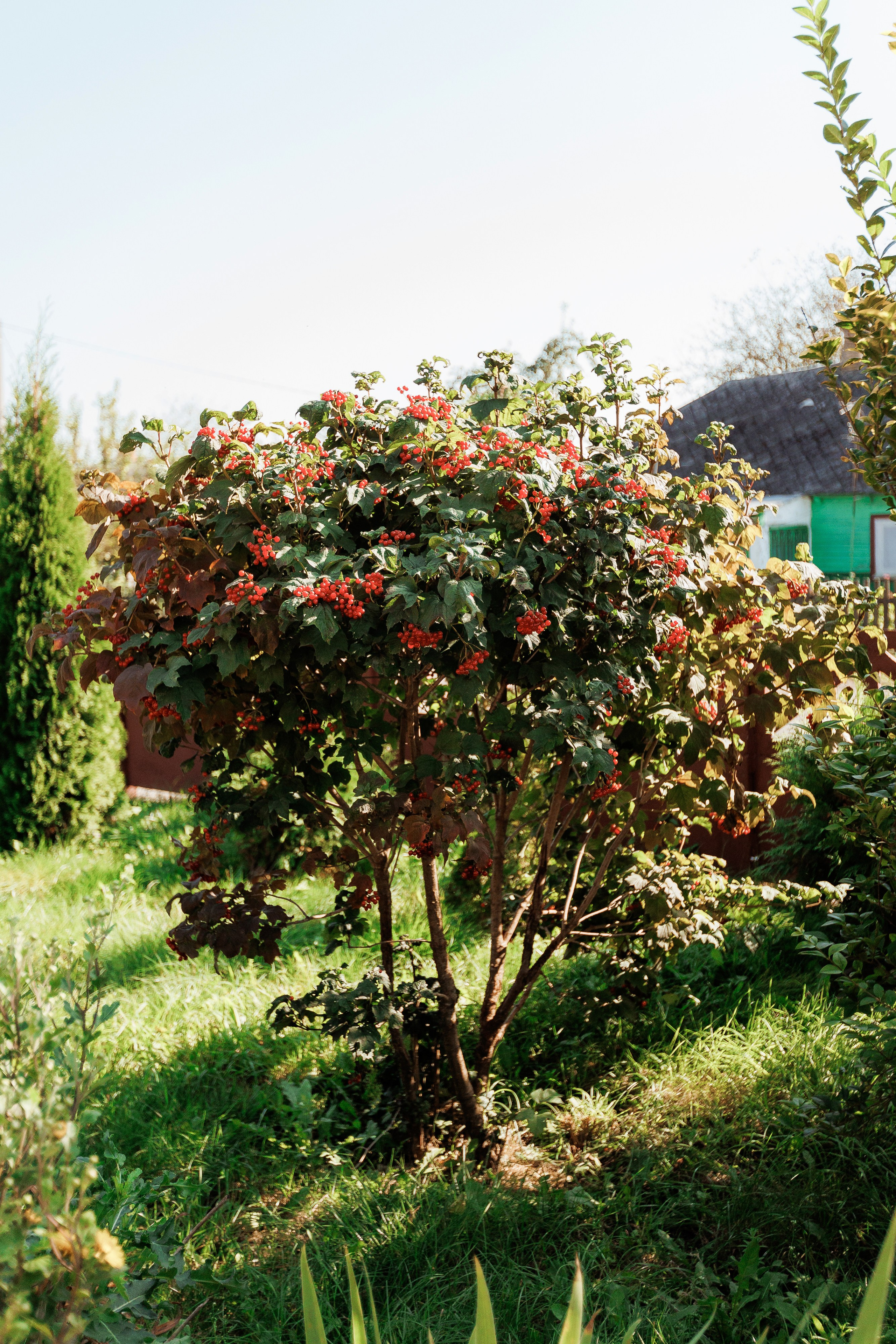 Екопарк Аміла. Ірина Терещук