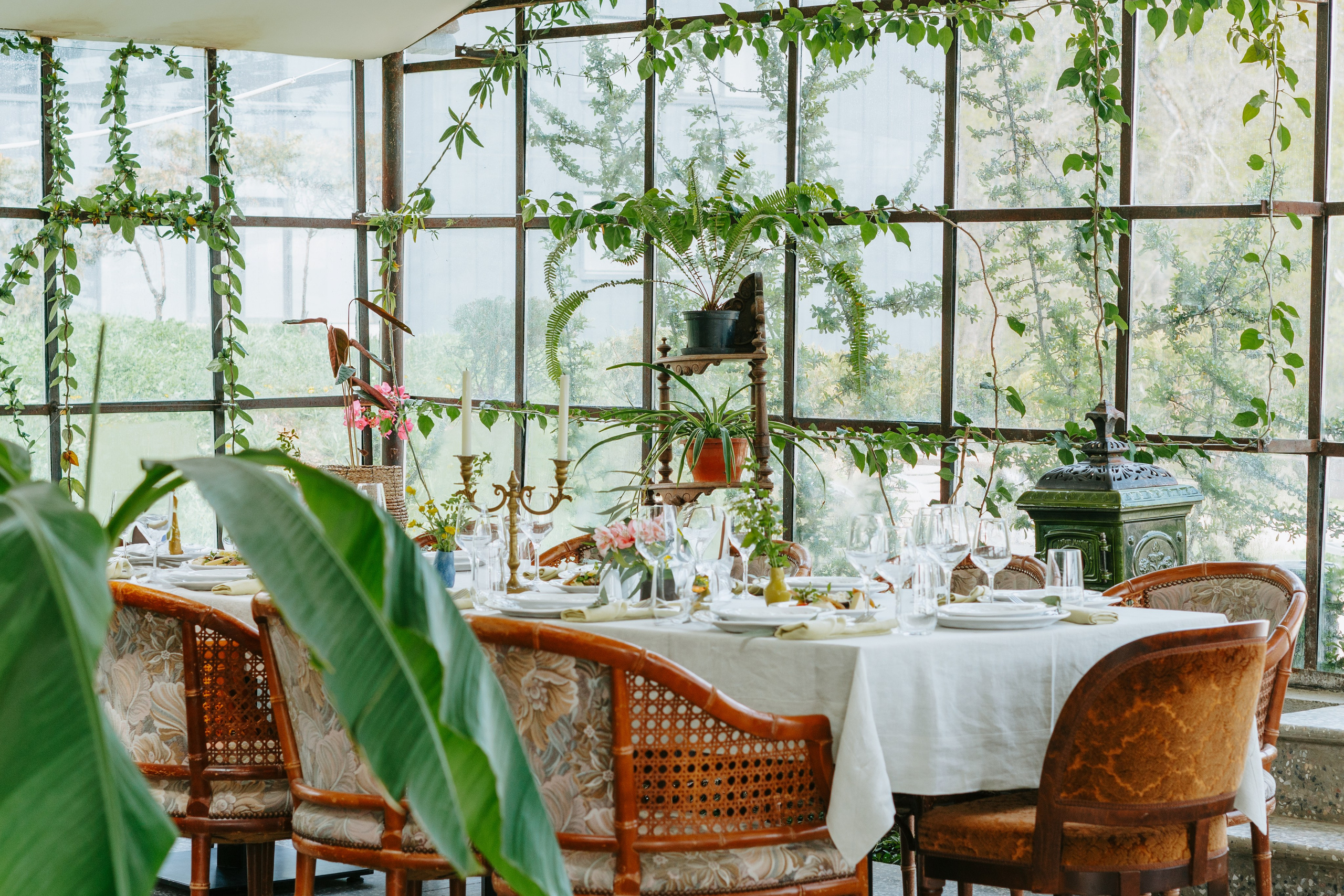 Food. Photographer and videographer for business in Tbilisi Catrine Poznyak