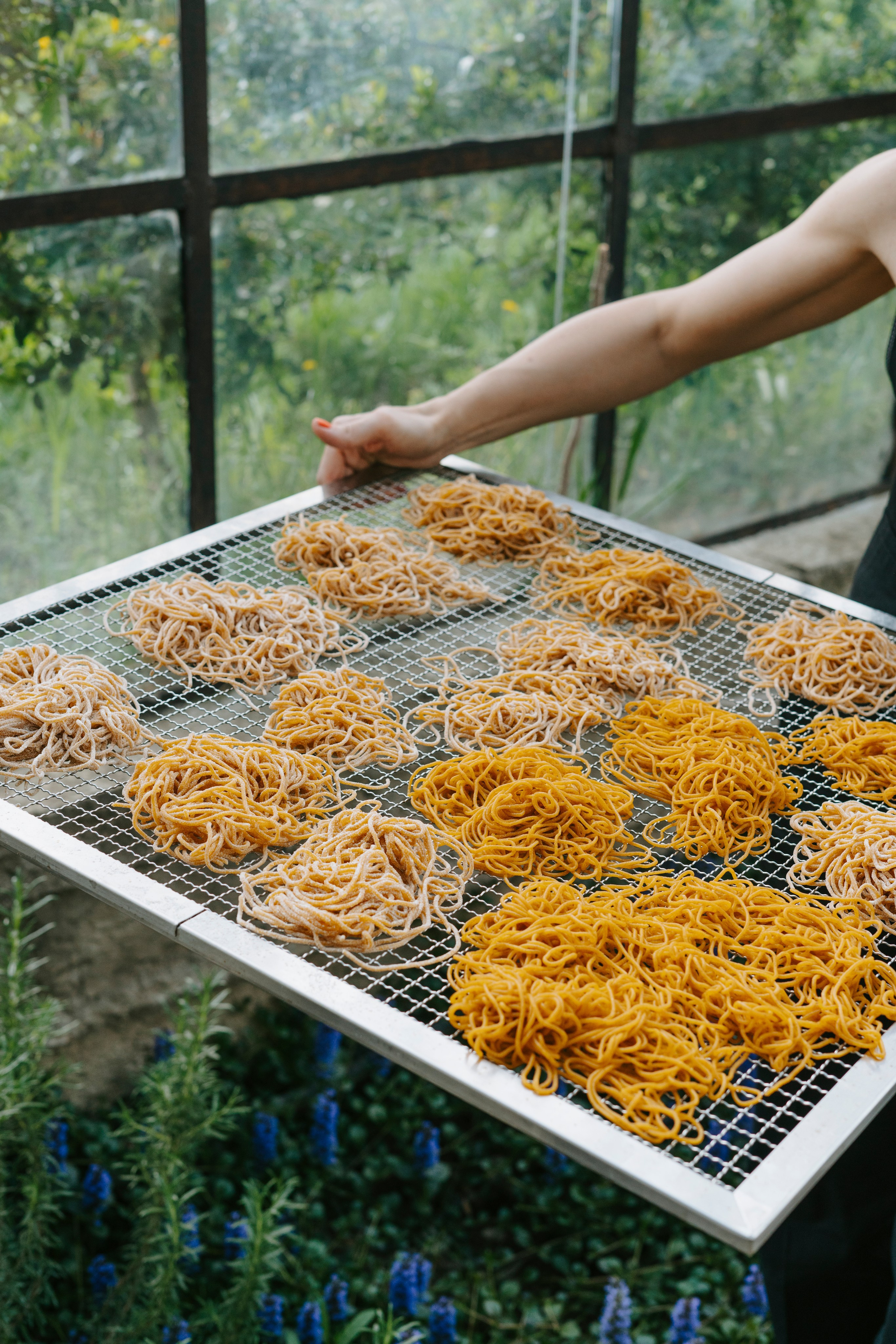 Food. Photographer and videographer for business in Tbilisi Catrine Poznyak