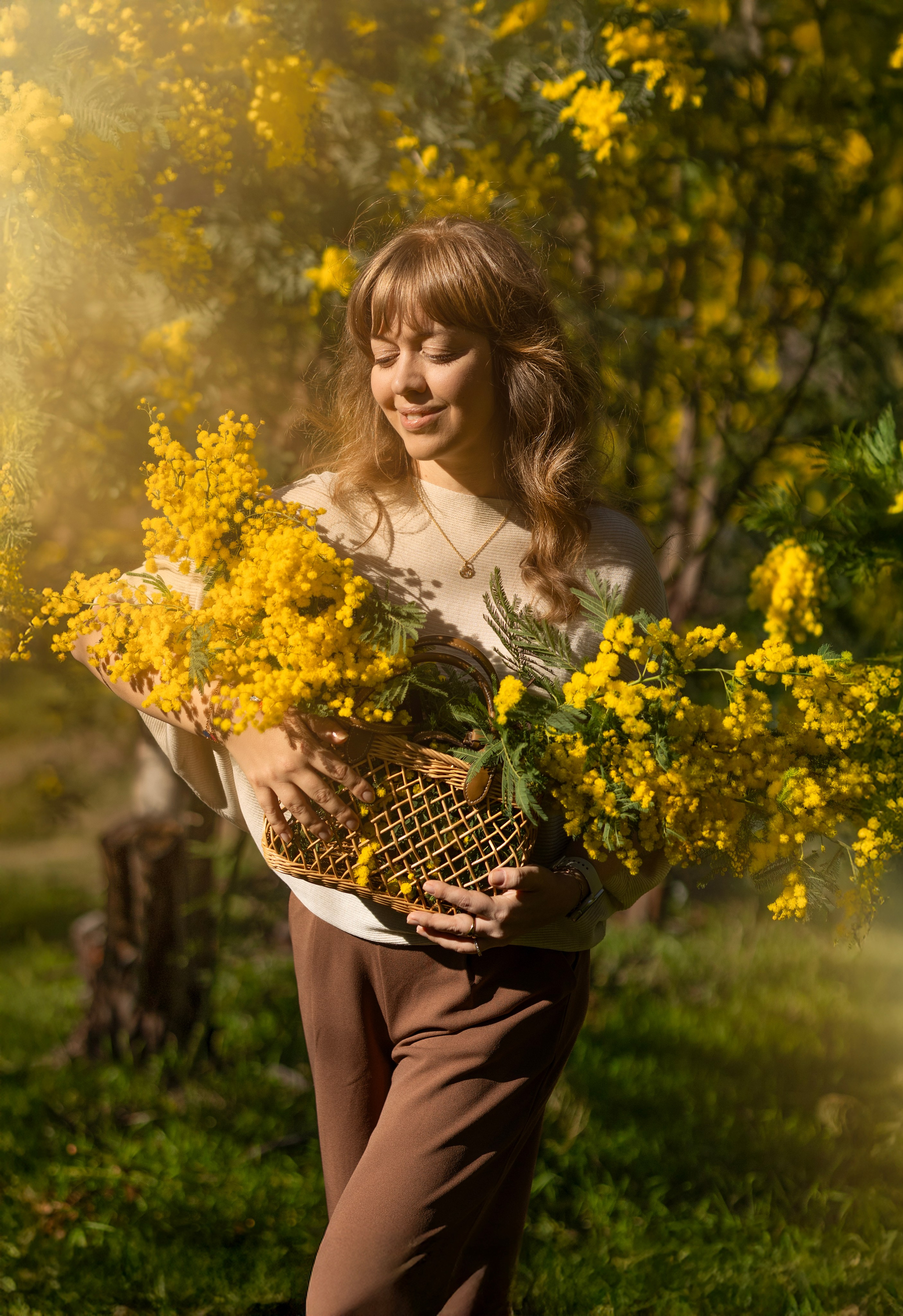 Mimosa. Photographer in Munich