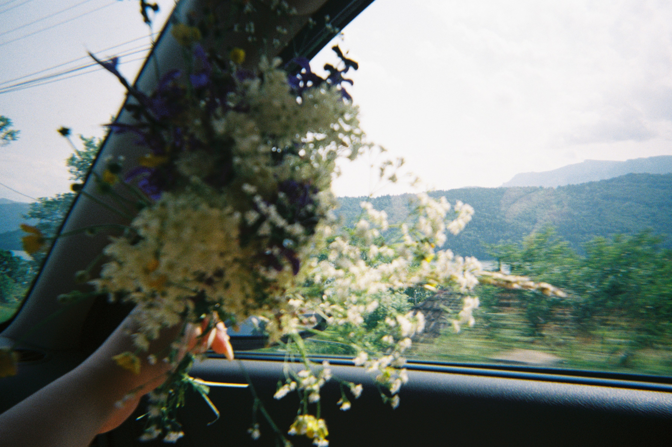 Mîndrii’s holiday