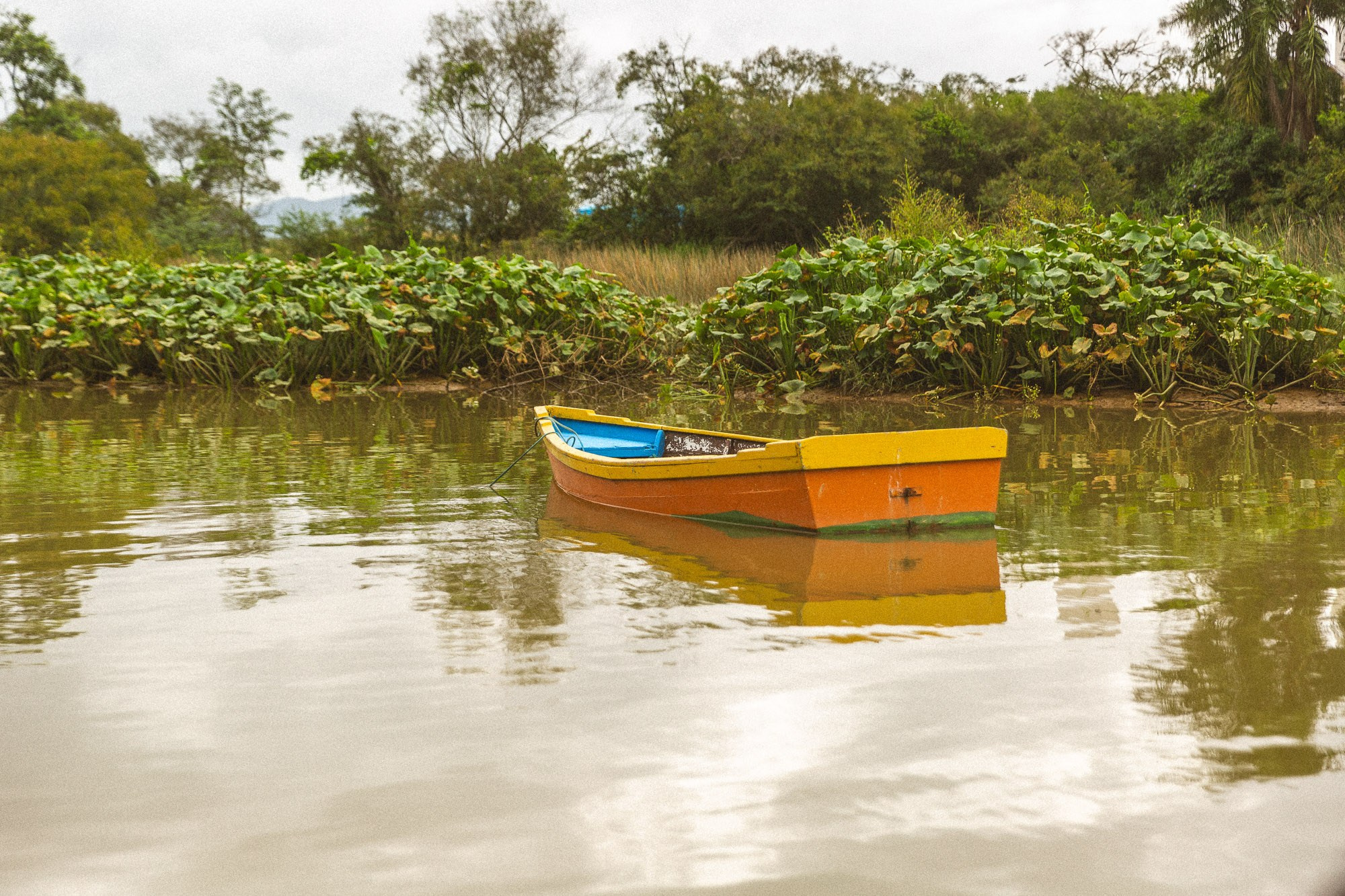 Linha D'água. Fotógrafo de casamentos em Florianópolis