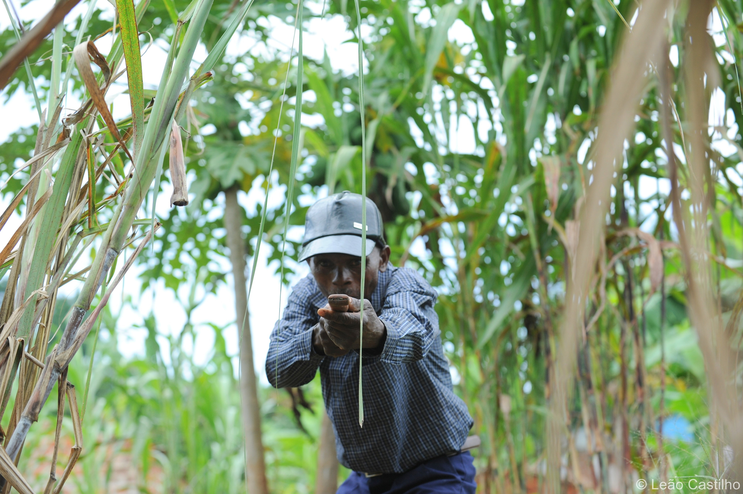 Photos from Mozambique people 1. Simbahalu