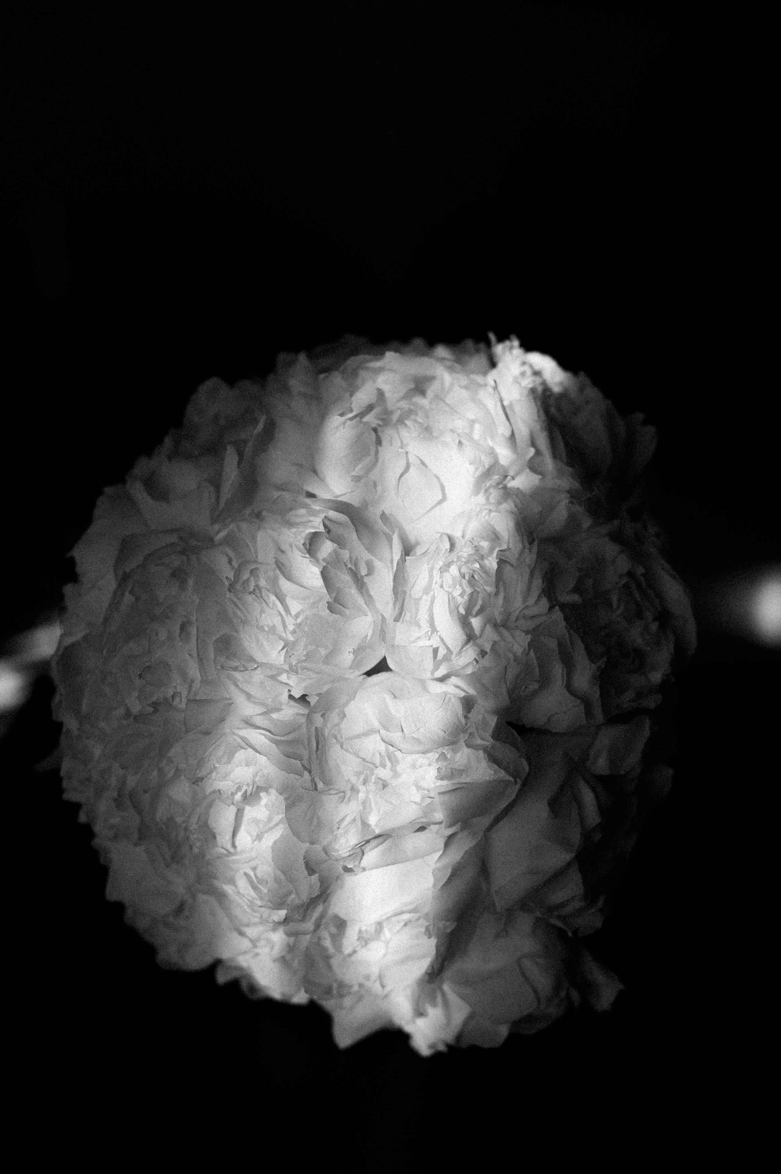 Ștefana & Cosmin. BCarp Productions