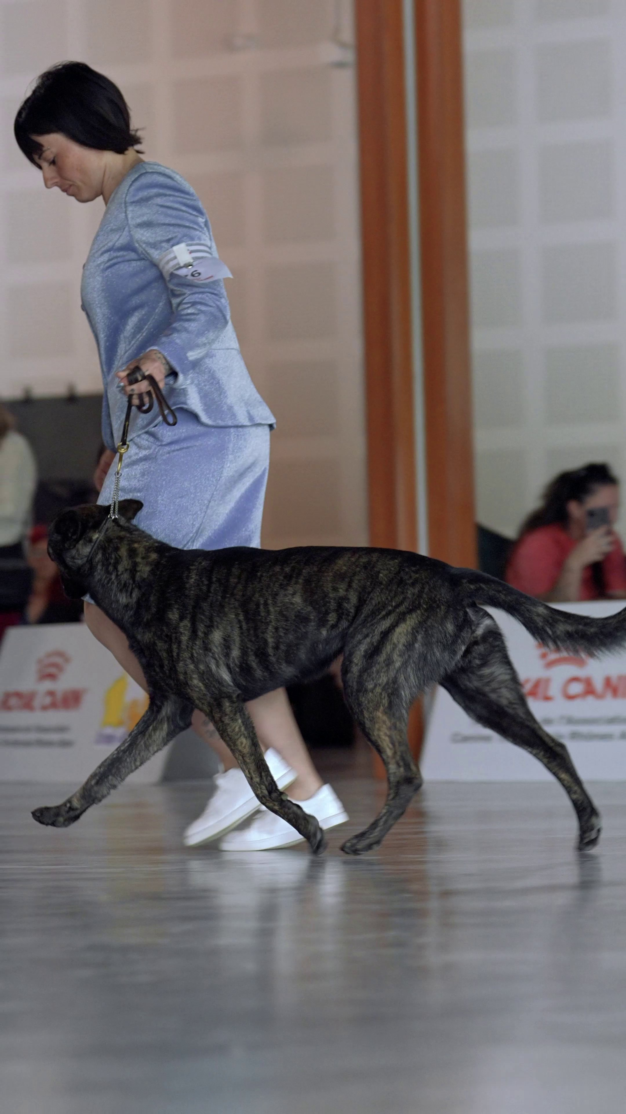 Expo canine 🇫🇷 Valence 02-03/05/2026