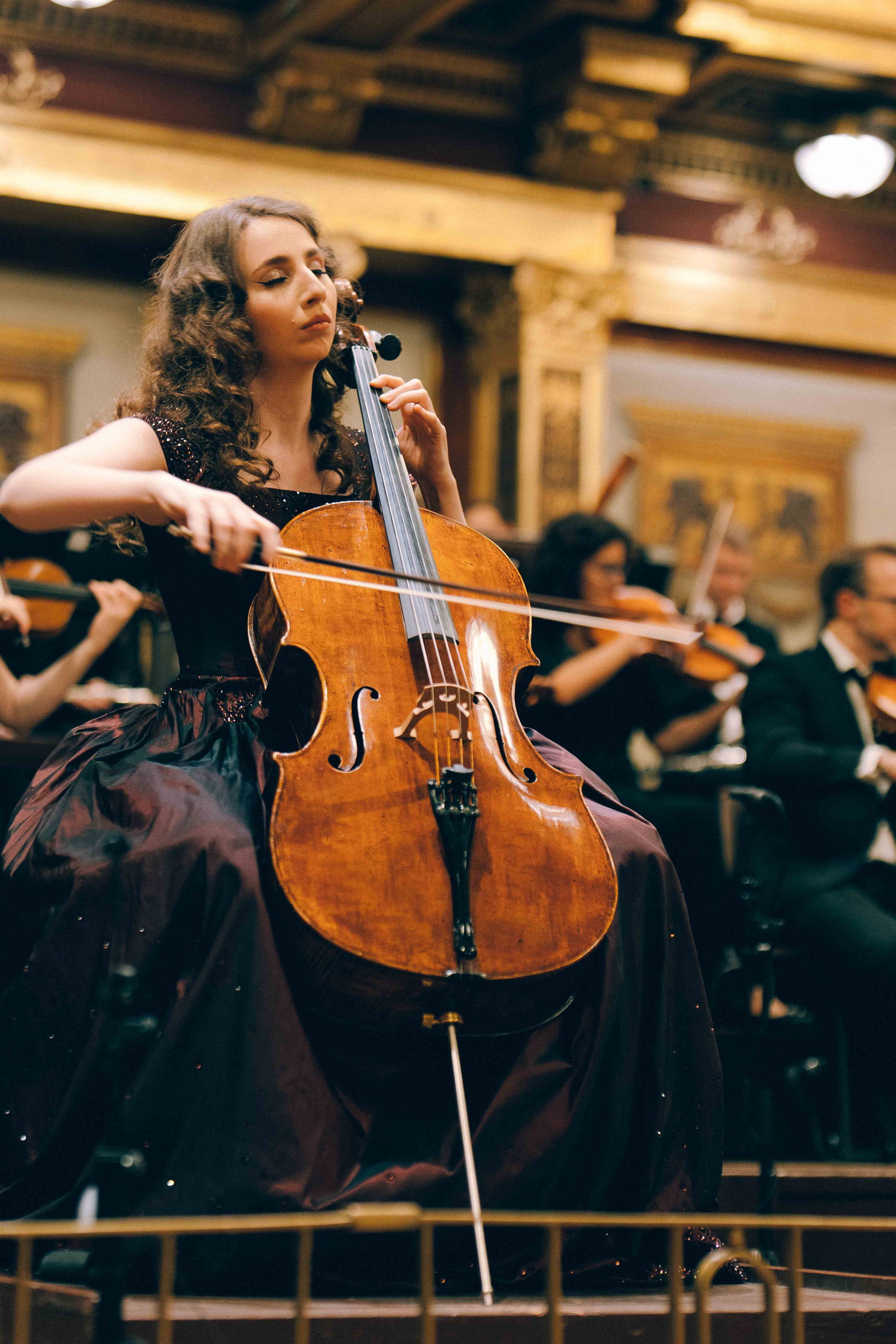 MUSIKVEREIN (VIENNA). Wedding&Event photographer Ismail Rzayev in Baku