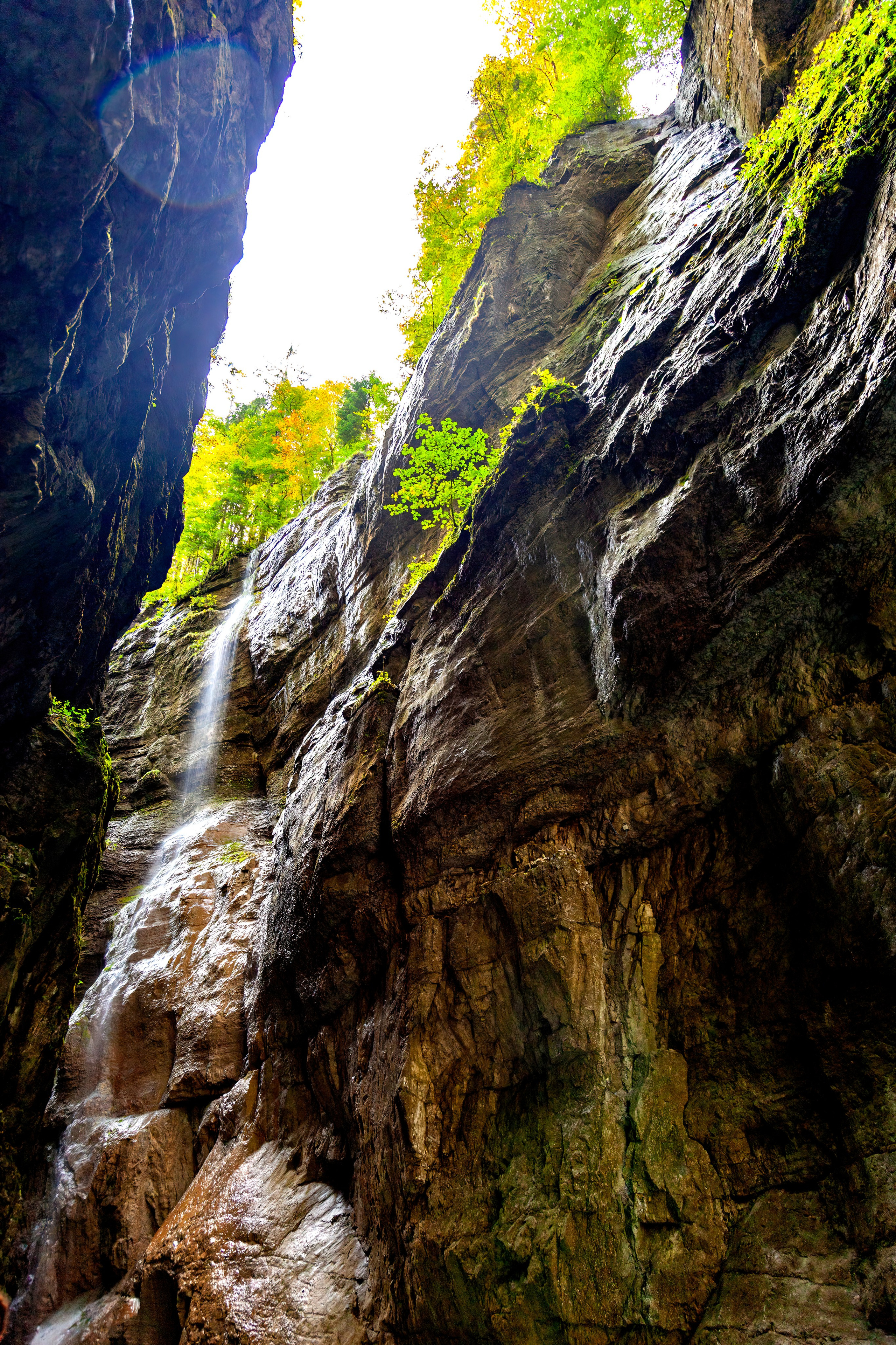 188.Partnachklamm Gorge.26.9.2024. Путешествия в формате 360......