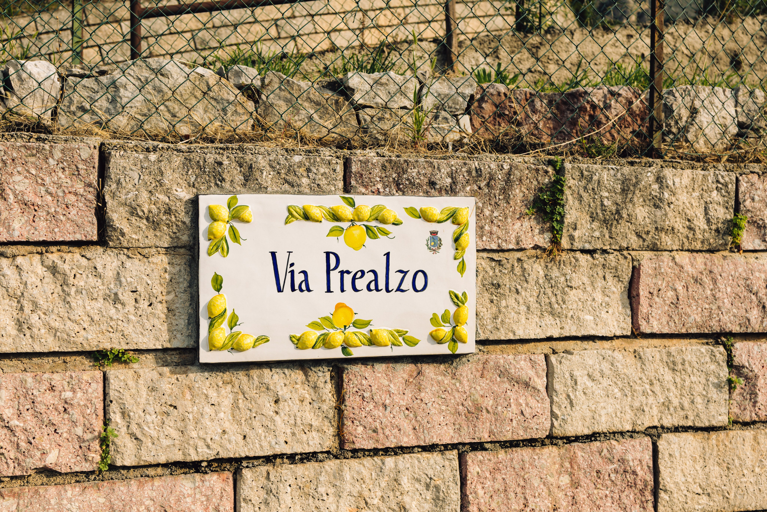 Wedding at Lake Garda in Limone sul Garda and Malcesine, Italy — Sofia and Egor. Liza Bizzaro — Italy Wedding, Love Story & Portrait Photographer in Milan, Turin, Piedmont and Across Italy