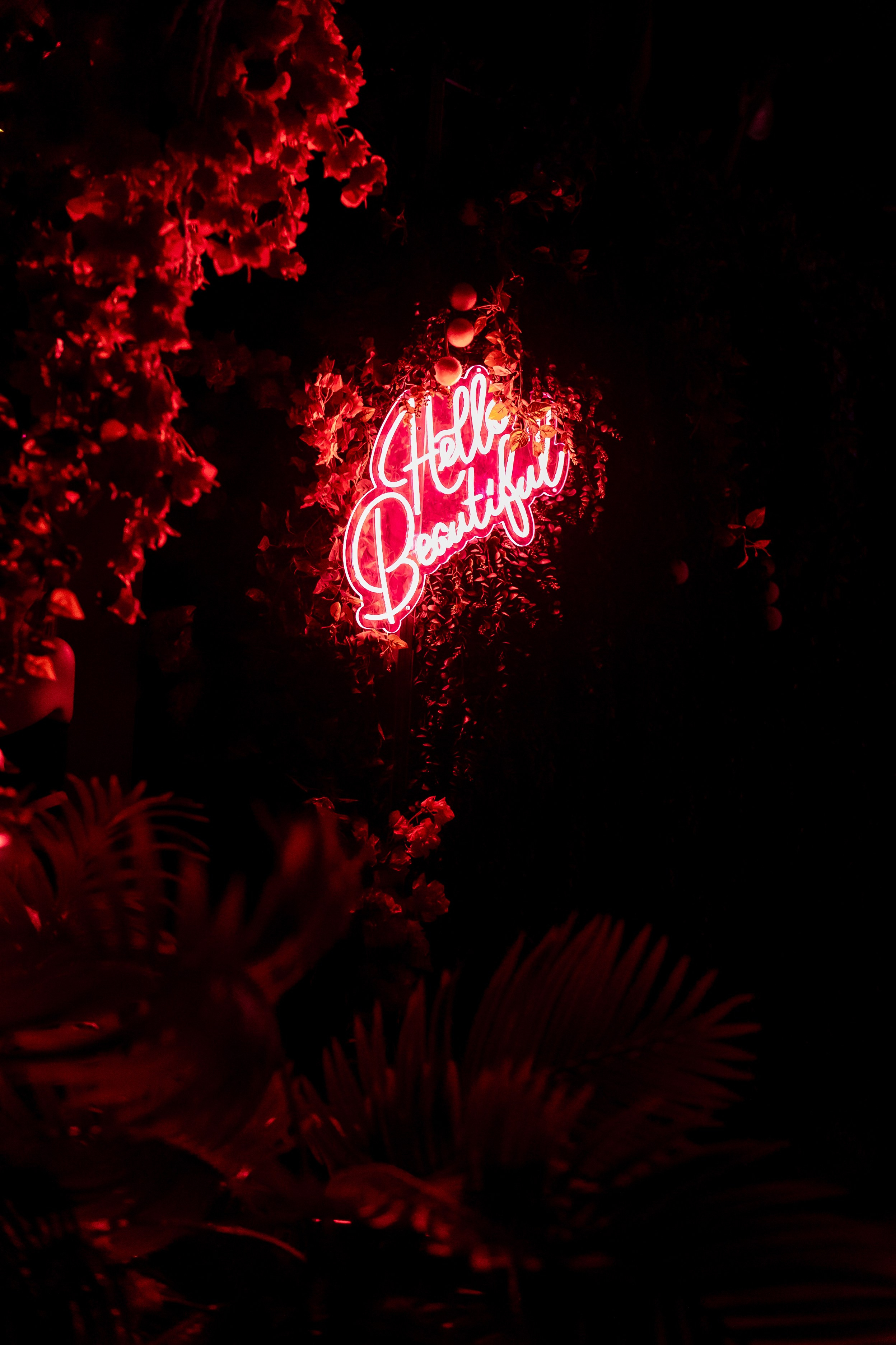 Marsa Moments — Luxury Photography Team