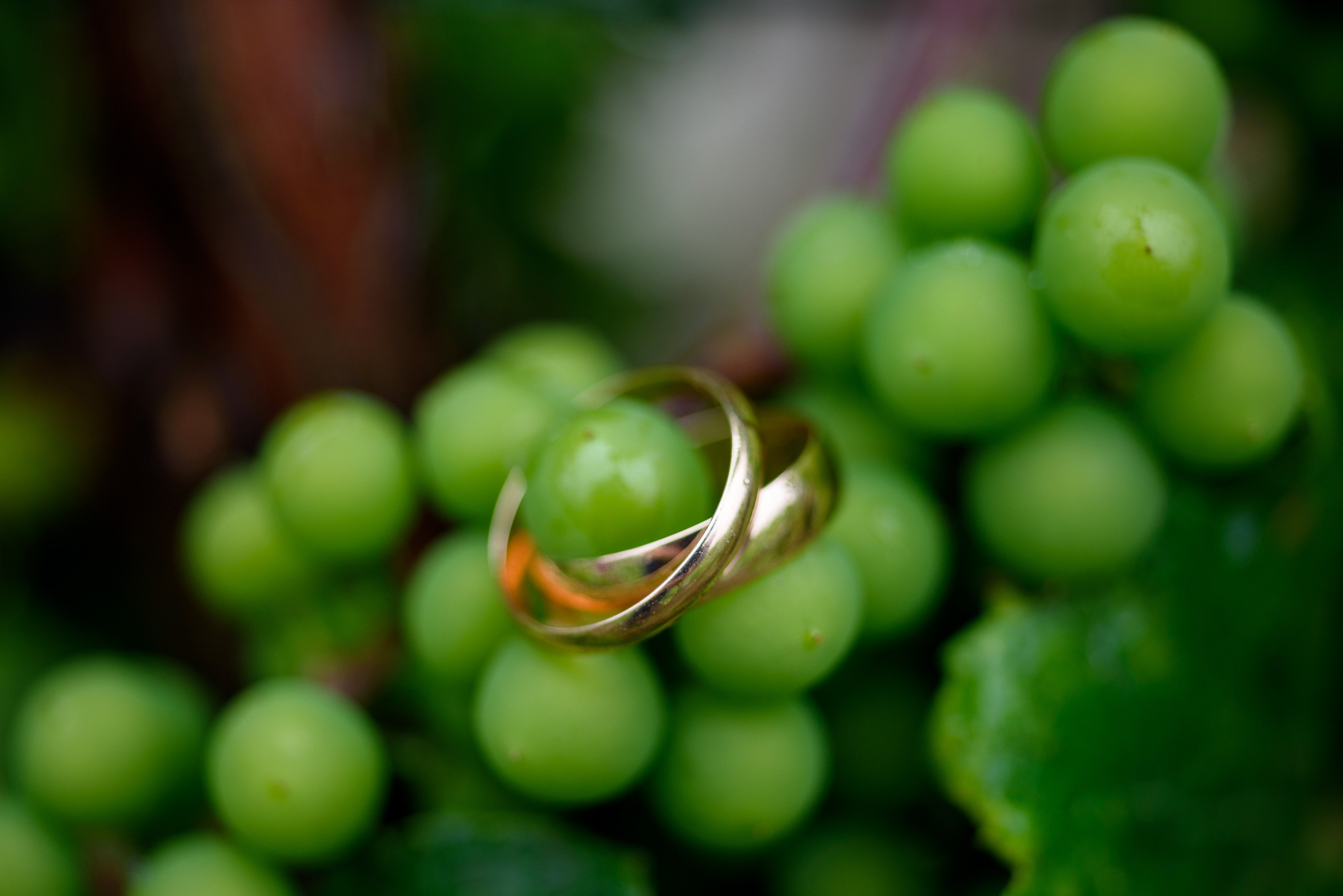 Roma & Arina. Ritvars Pujats Emotion Photographer