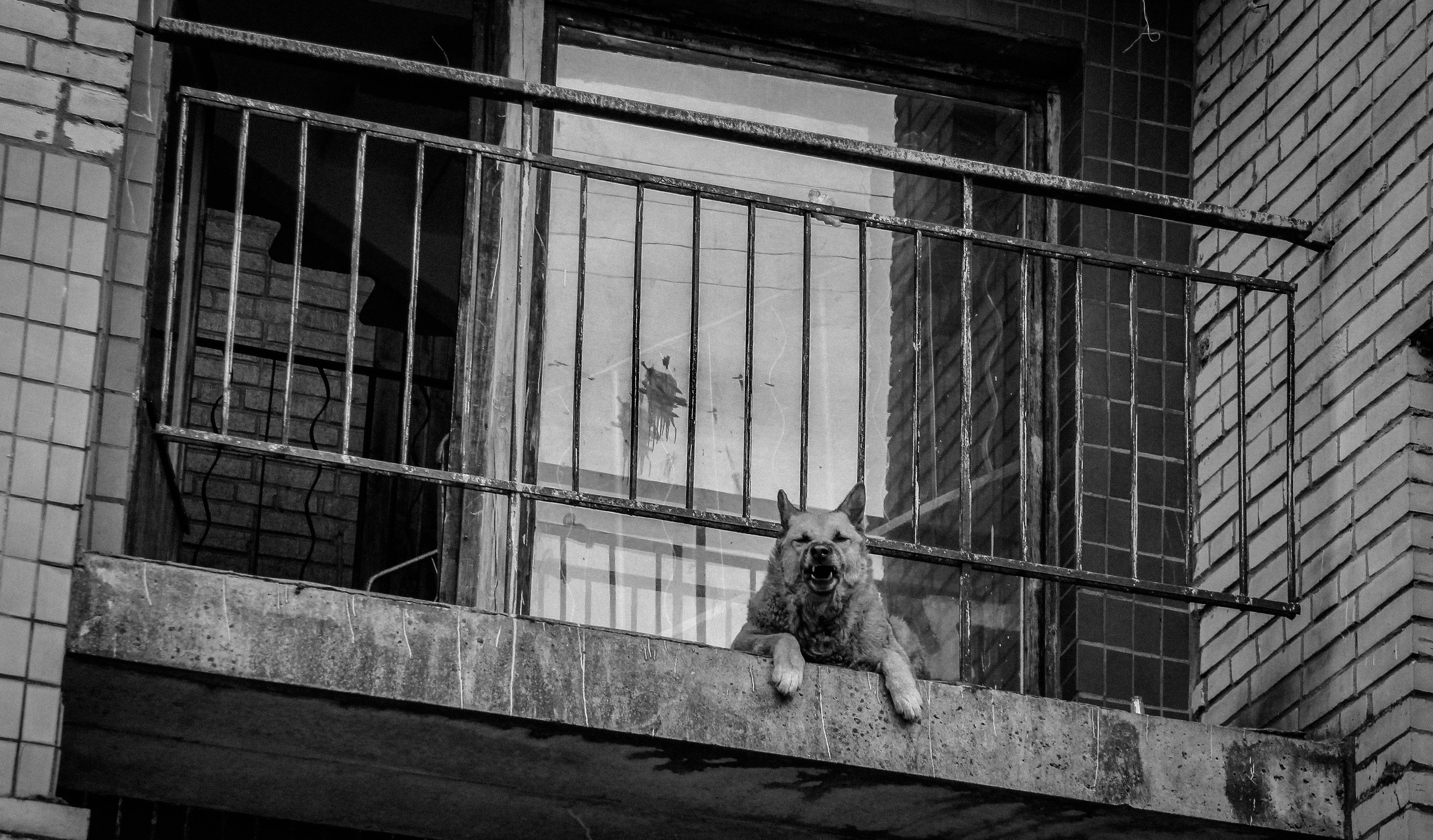 2013. Стрит-фотография, полная абсурда, идиотизма и красоты