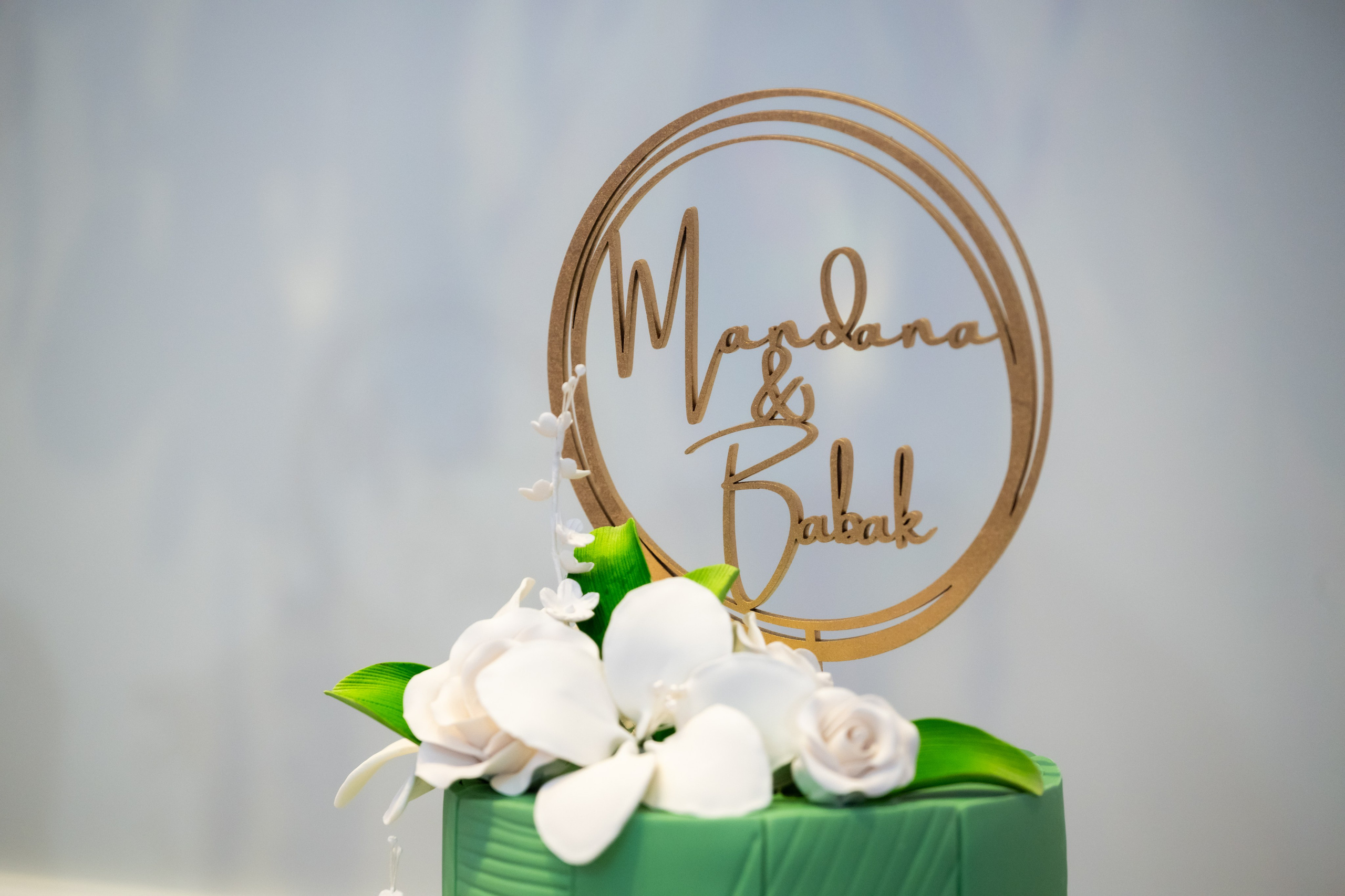 Mandana & Babak. Wedding Photo & Video