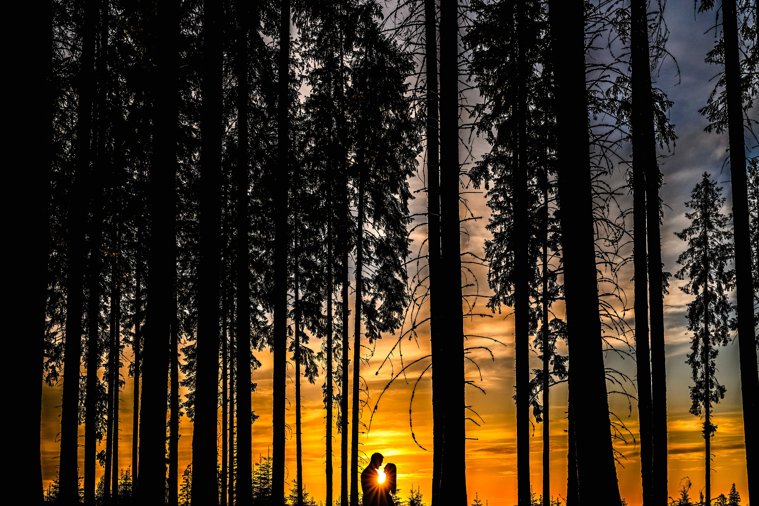 Daniel & Sabina. Erik Bagy | Fotograf de Nuntă