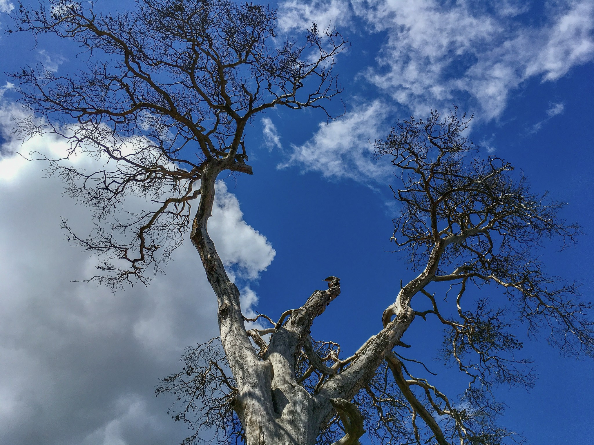 MOBILE PHOTO. UNRATED PHOTO