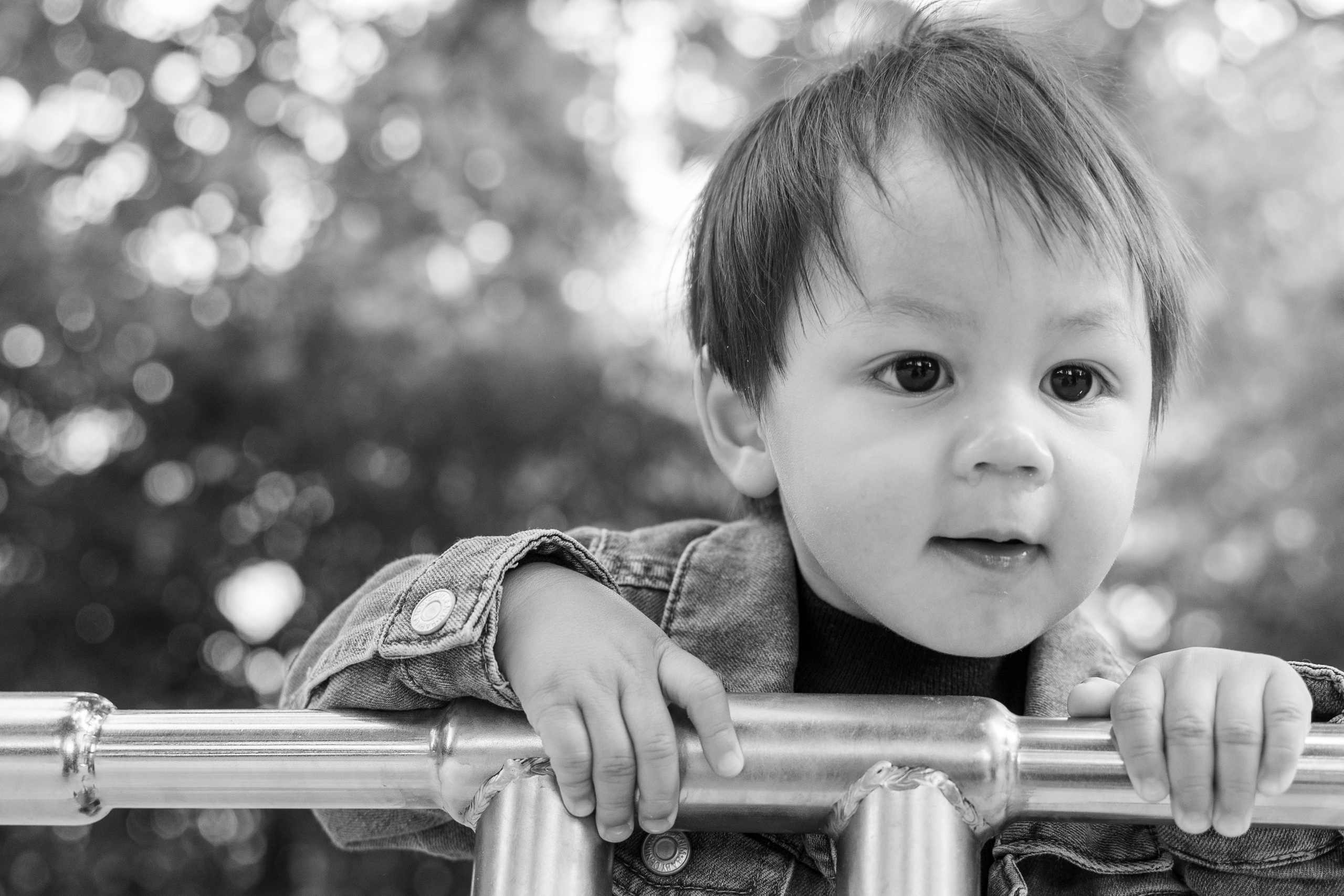 Families. Wedding and event photographer in guelph ontario canada Jessica Giovanni