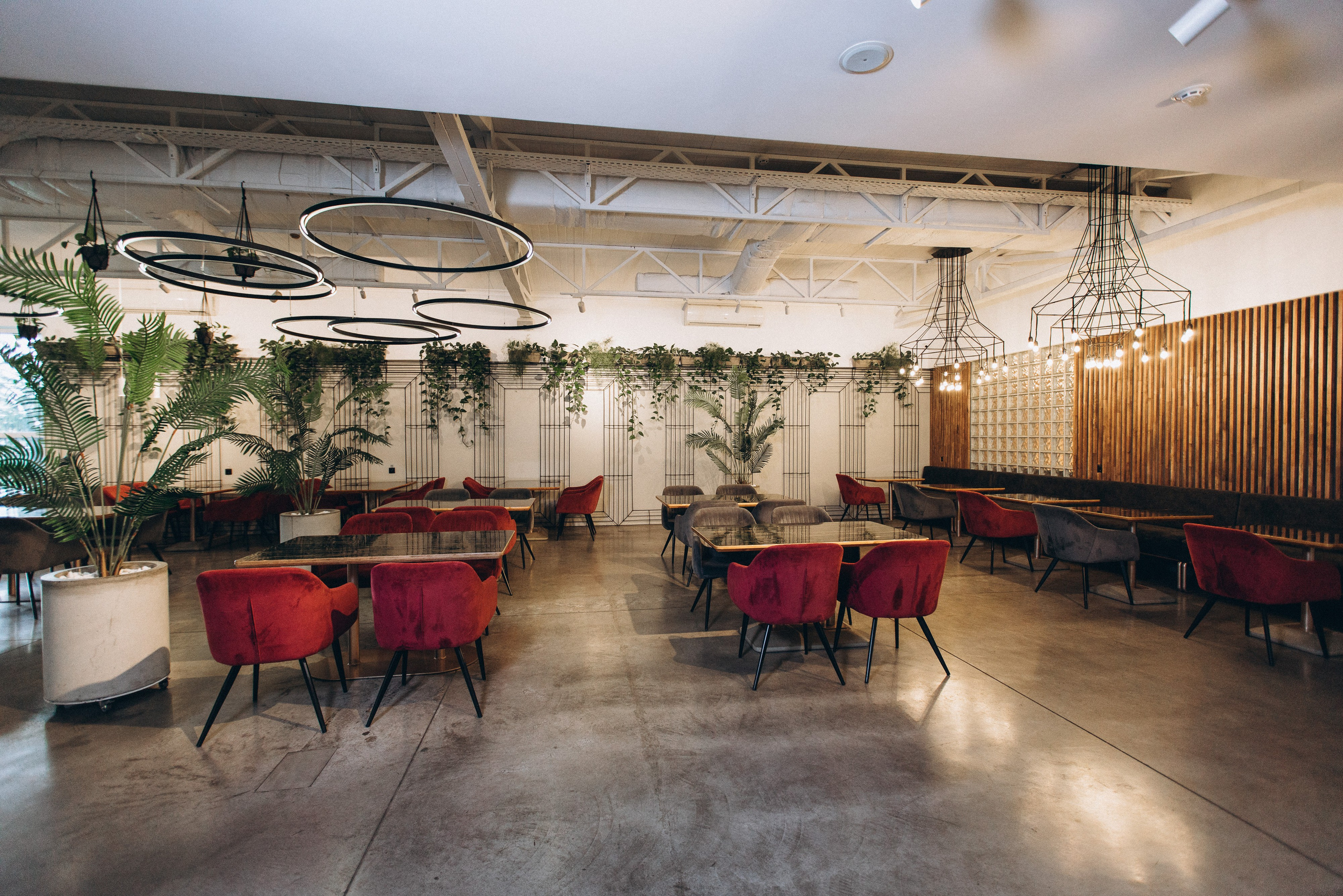 Мережа ресторанів Classic. Ірина Терещук