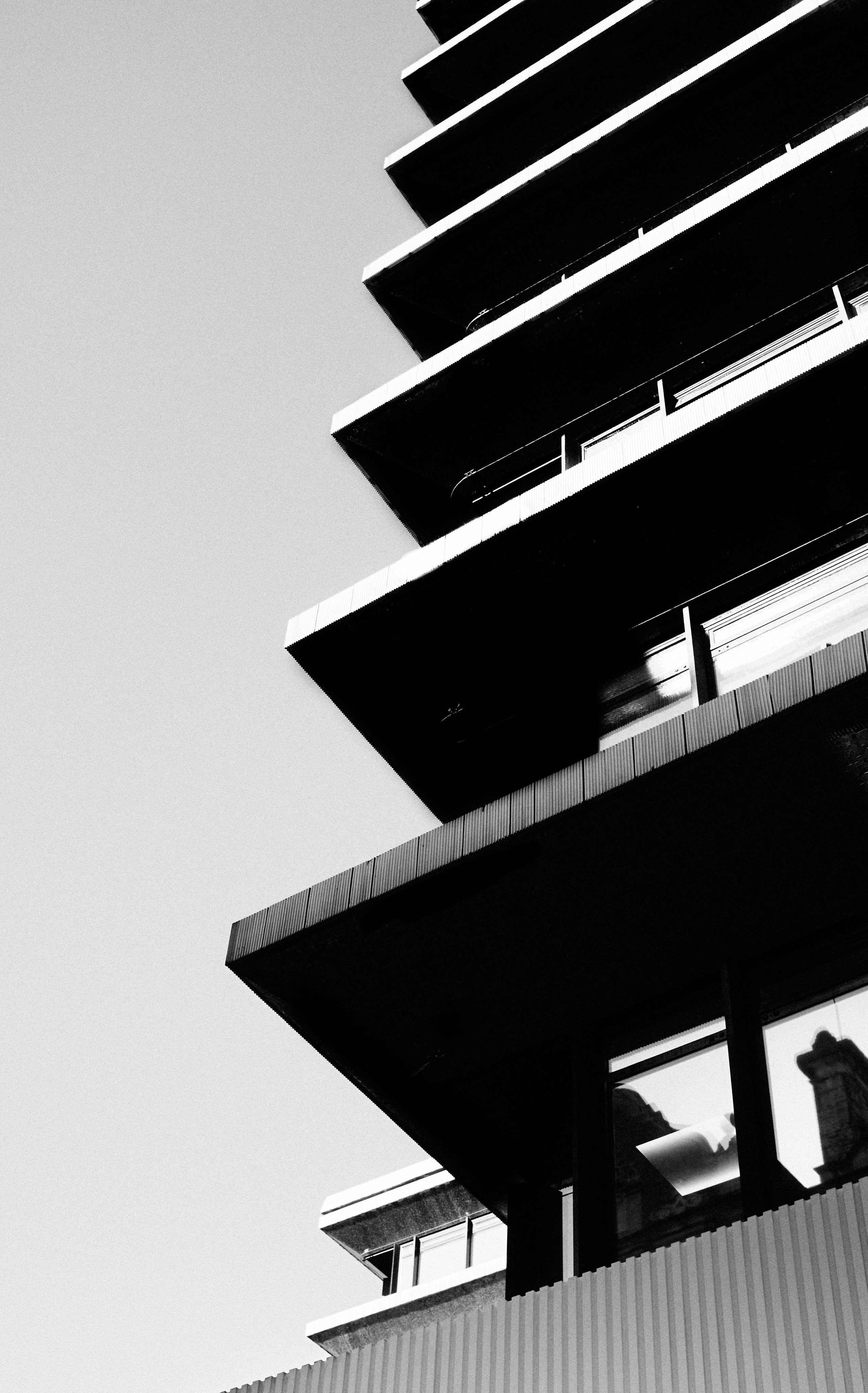 Shapes Of Shadows. Cinema that you’ll never see