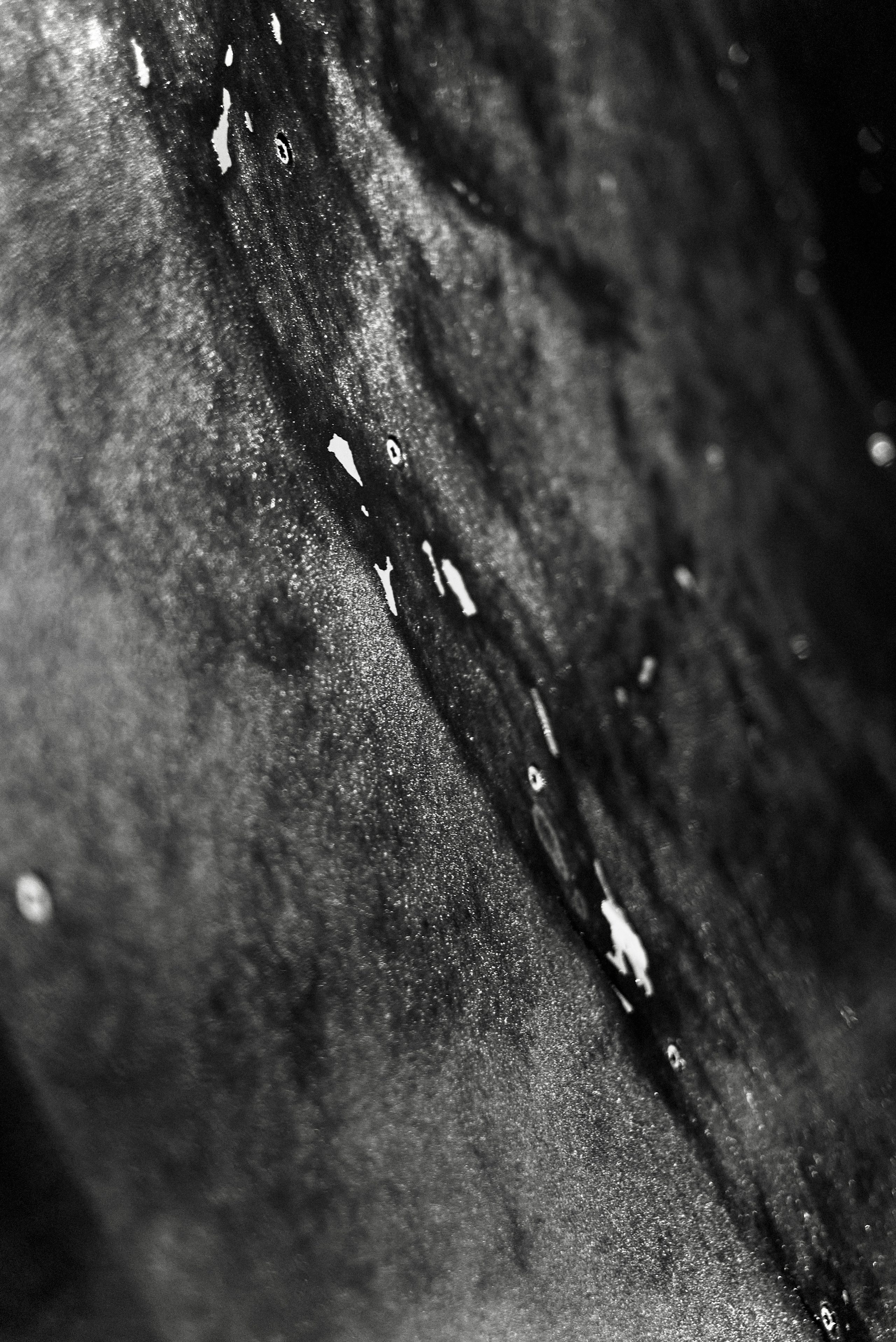 Shapes Of Shadows. Cinema that you’ll never see