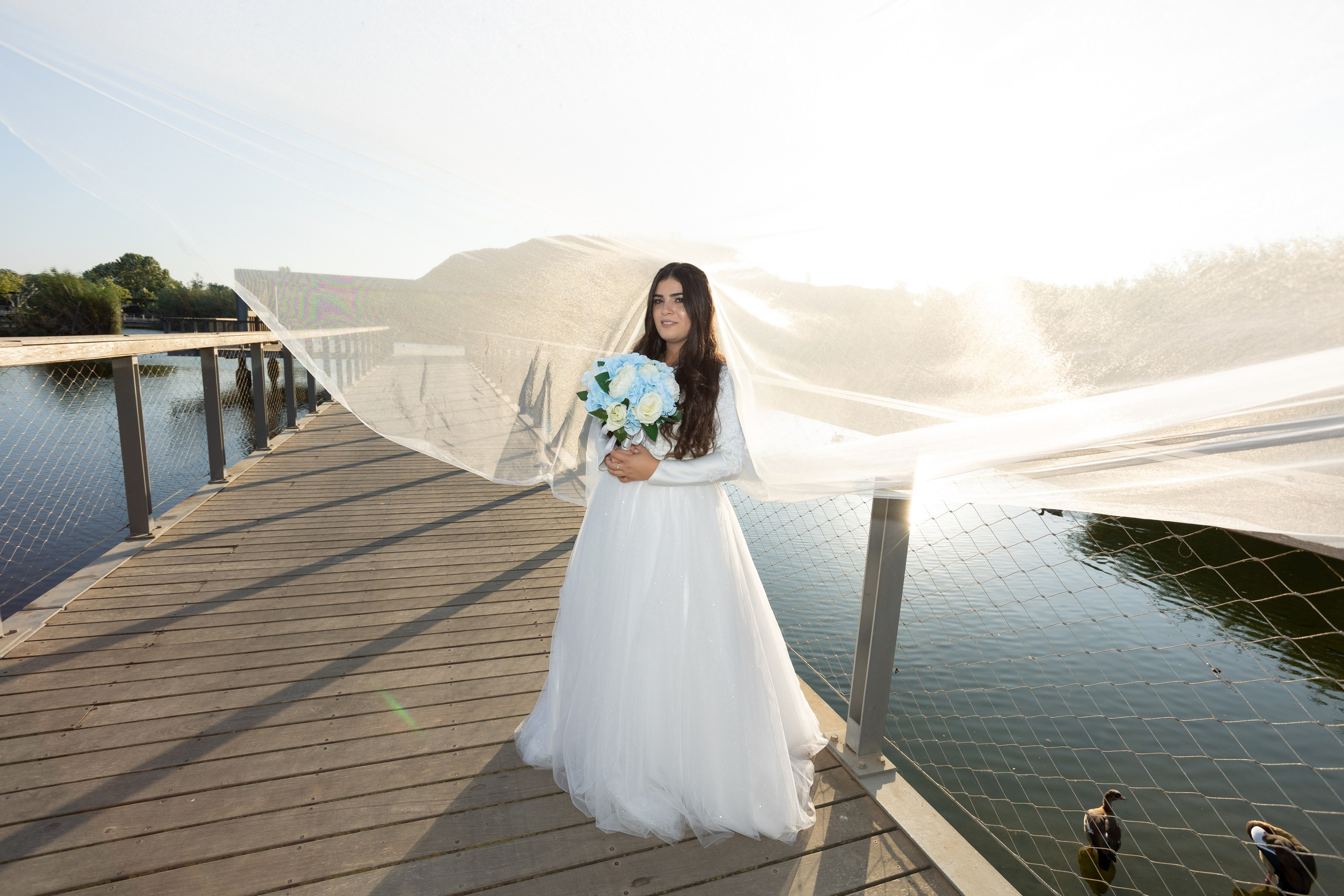 S&S. משה מנשה צלם חתונות