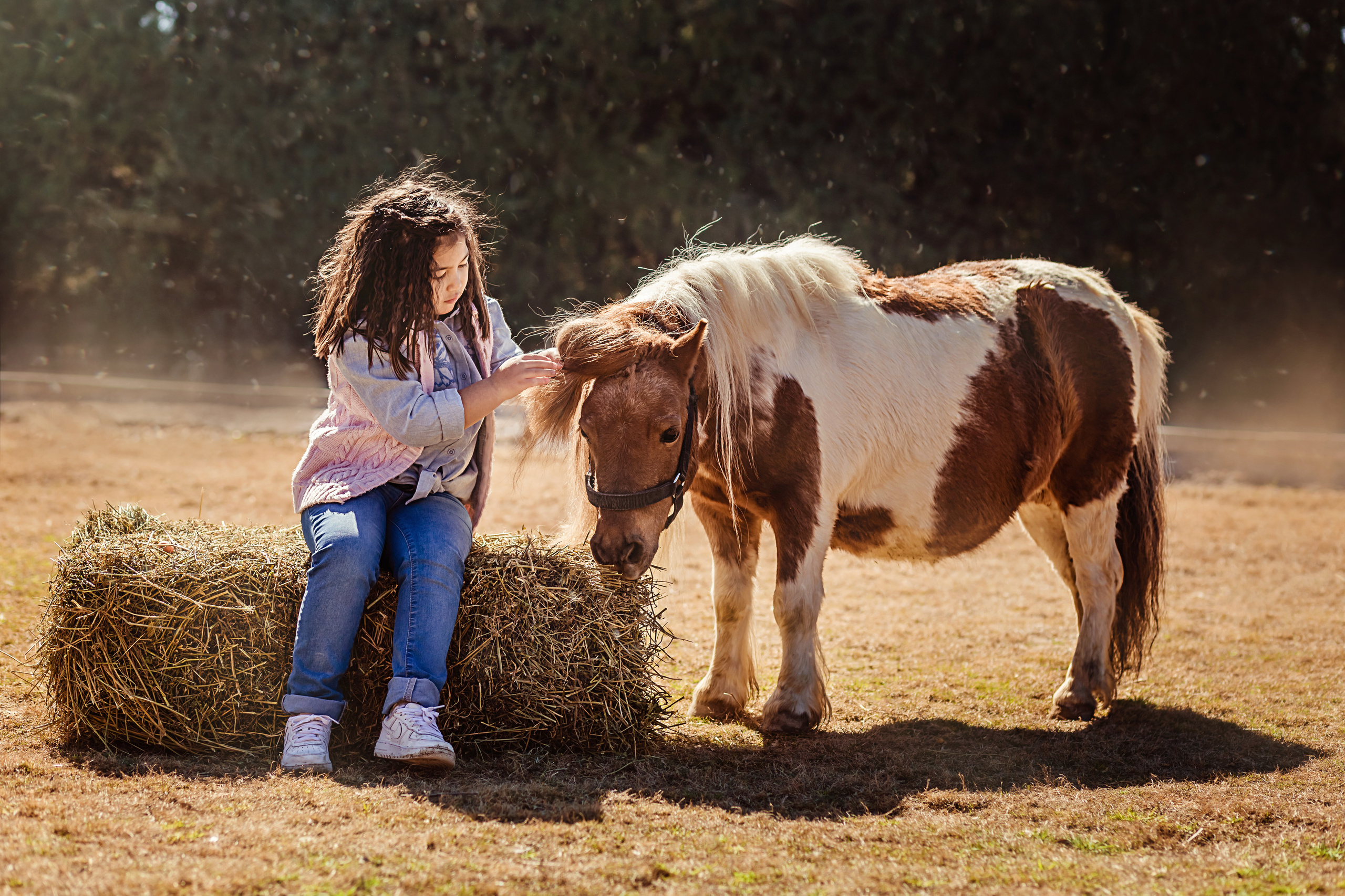 Wonderful day at the farm in Urla