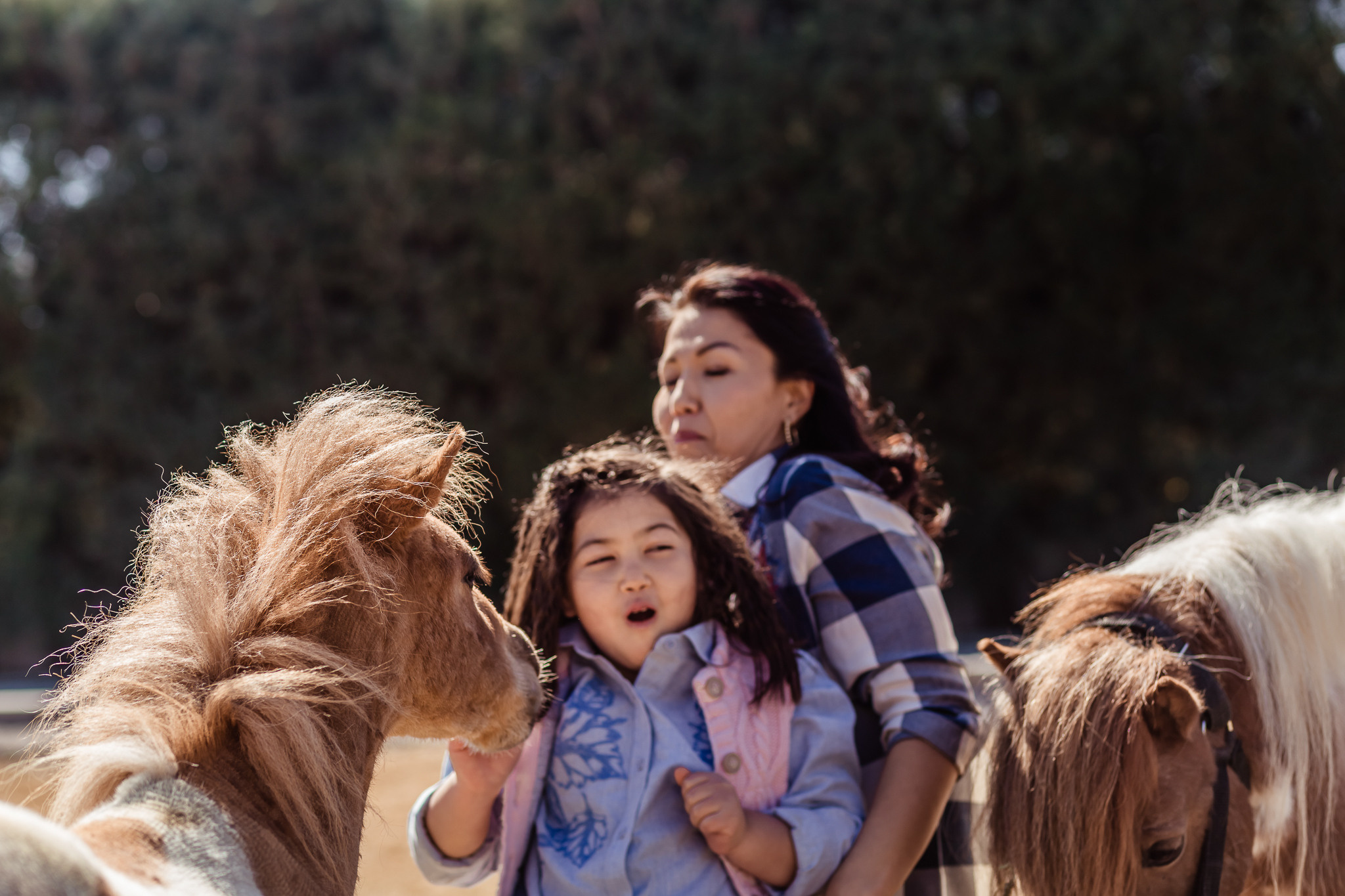 Wonderful day at the farm in Urla