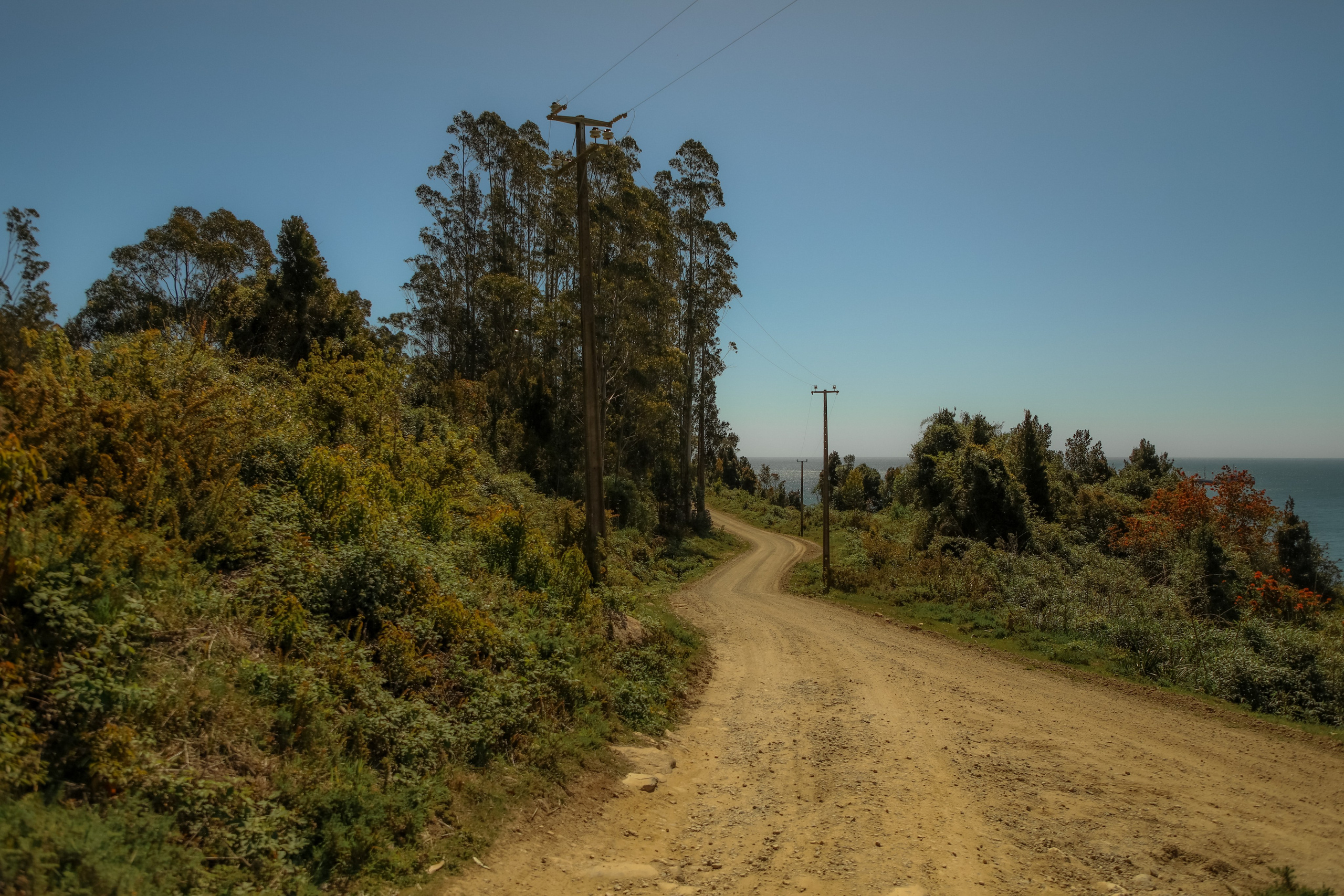 PATAGONIE. Photographe Karen Tatevosian