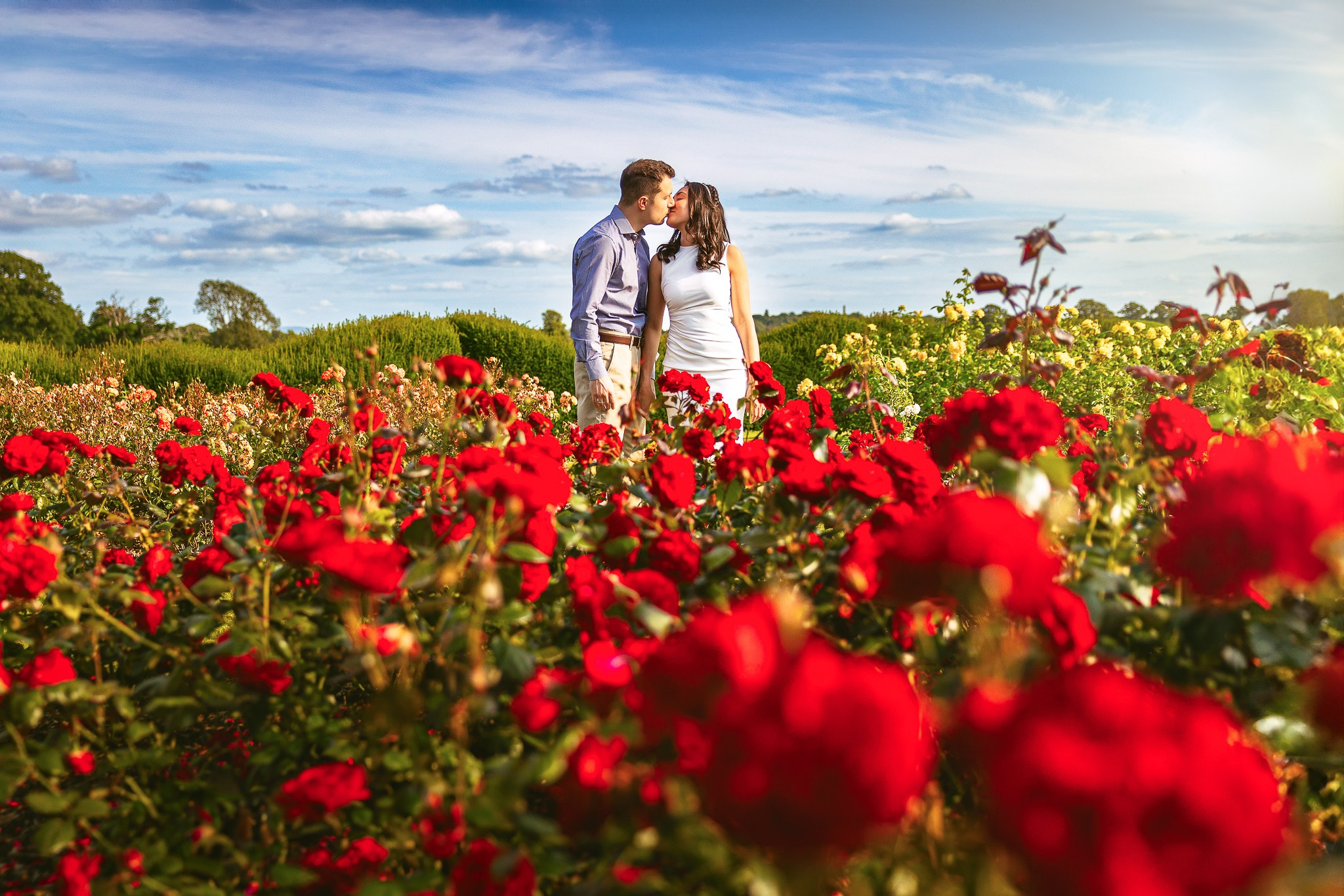 Countryside Romance: Loandra & Stefano. Giandamorgana
