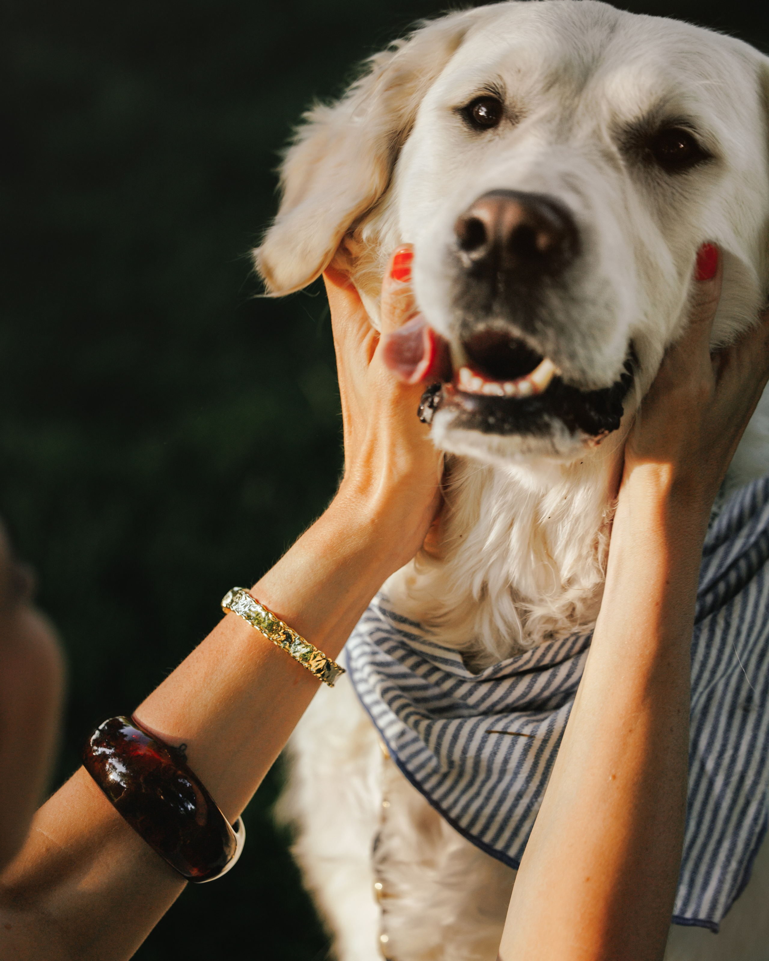 Billy & Emily. Pet Photographer Viktoriya
