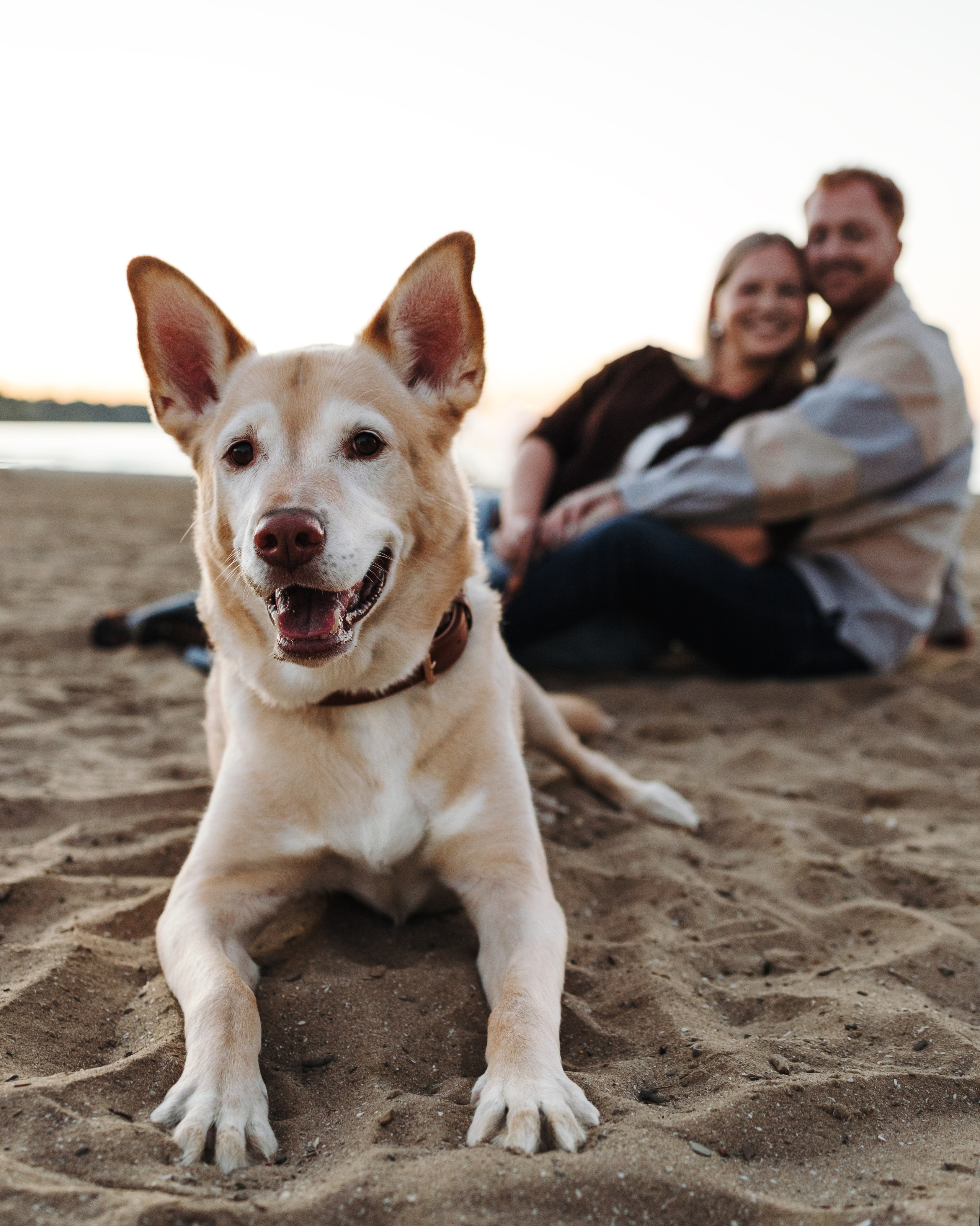 Chance, Carly & Mike. Pet Photographer Viktoriya