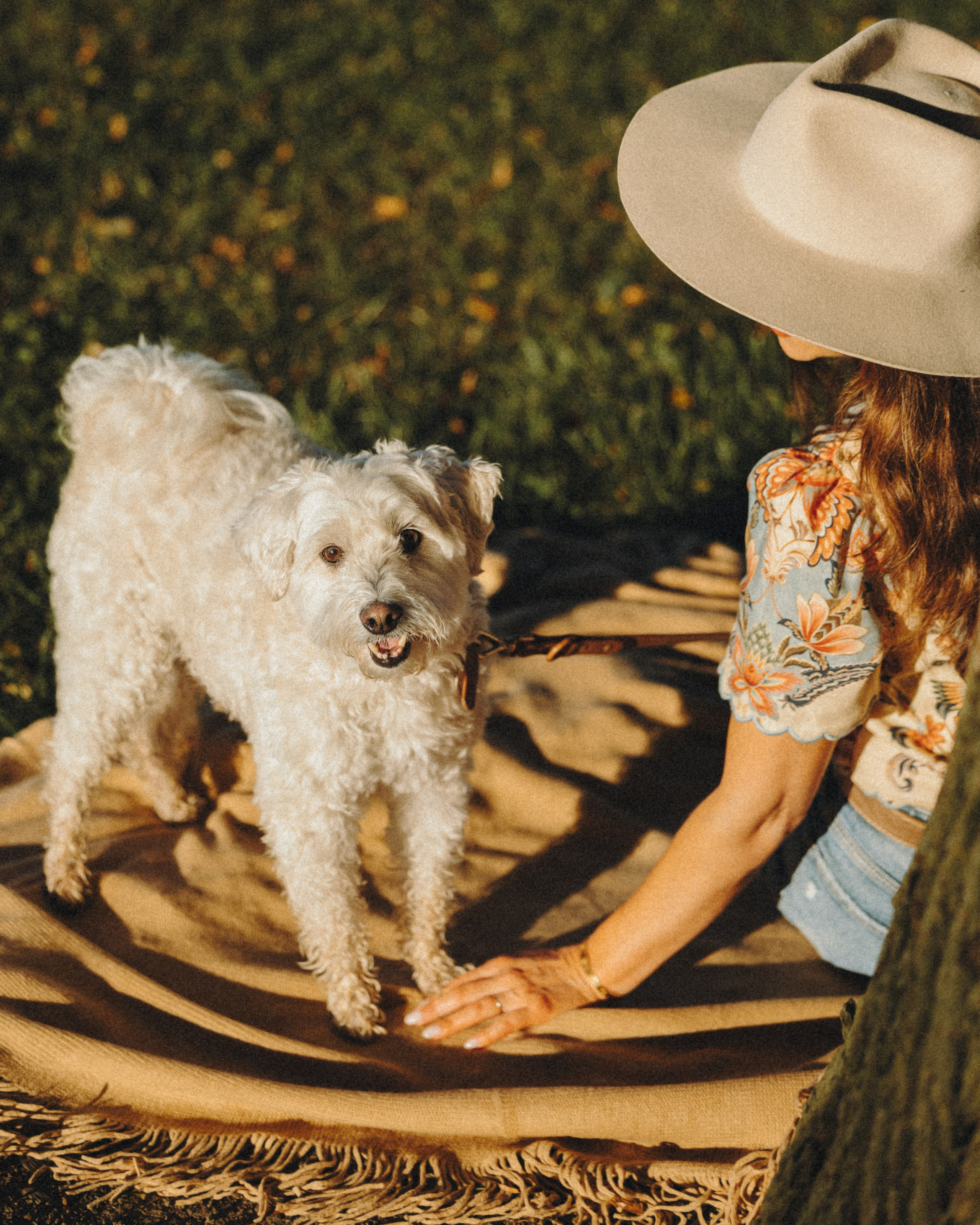 Casey & Natalie. Pet Photographer Viktoriya