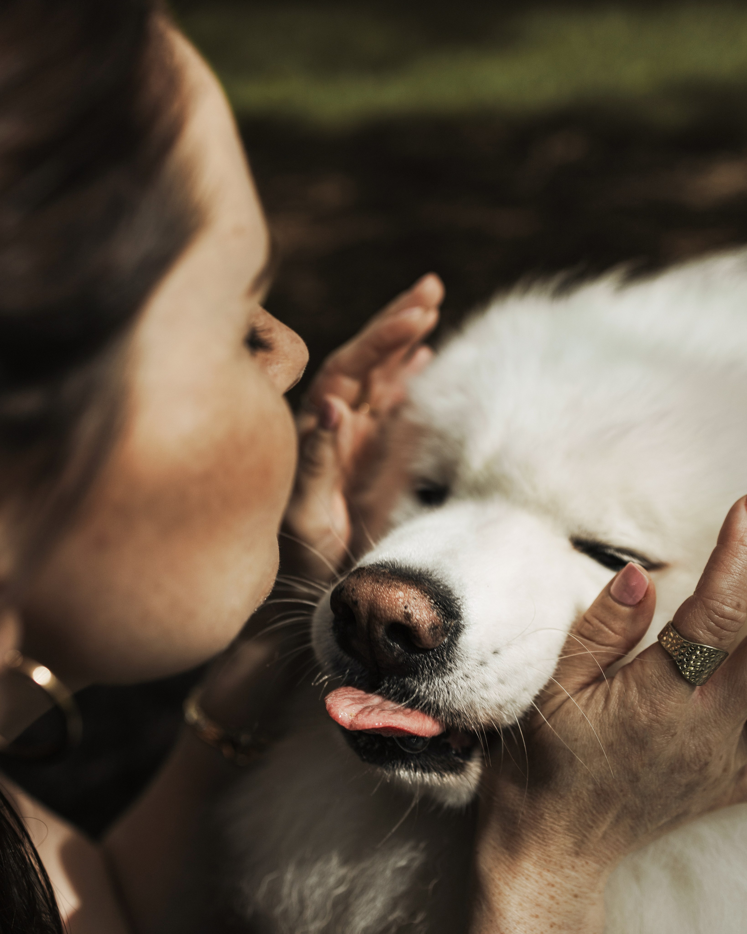 Mishka & Yuliya. Pet Photographer Viktoriya