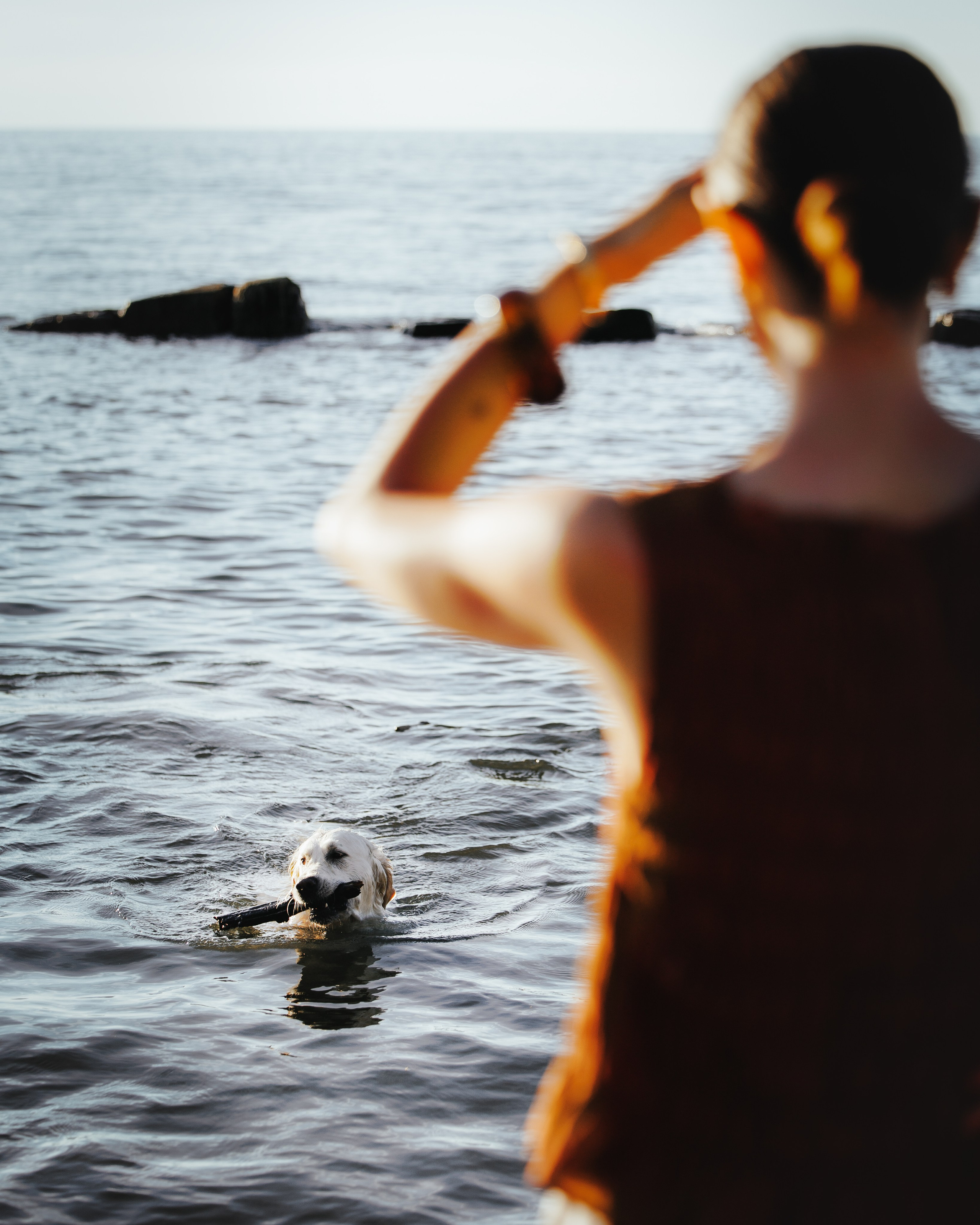 Billy & Emily. Pet Photographer Viktoriya