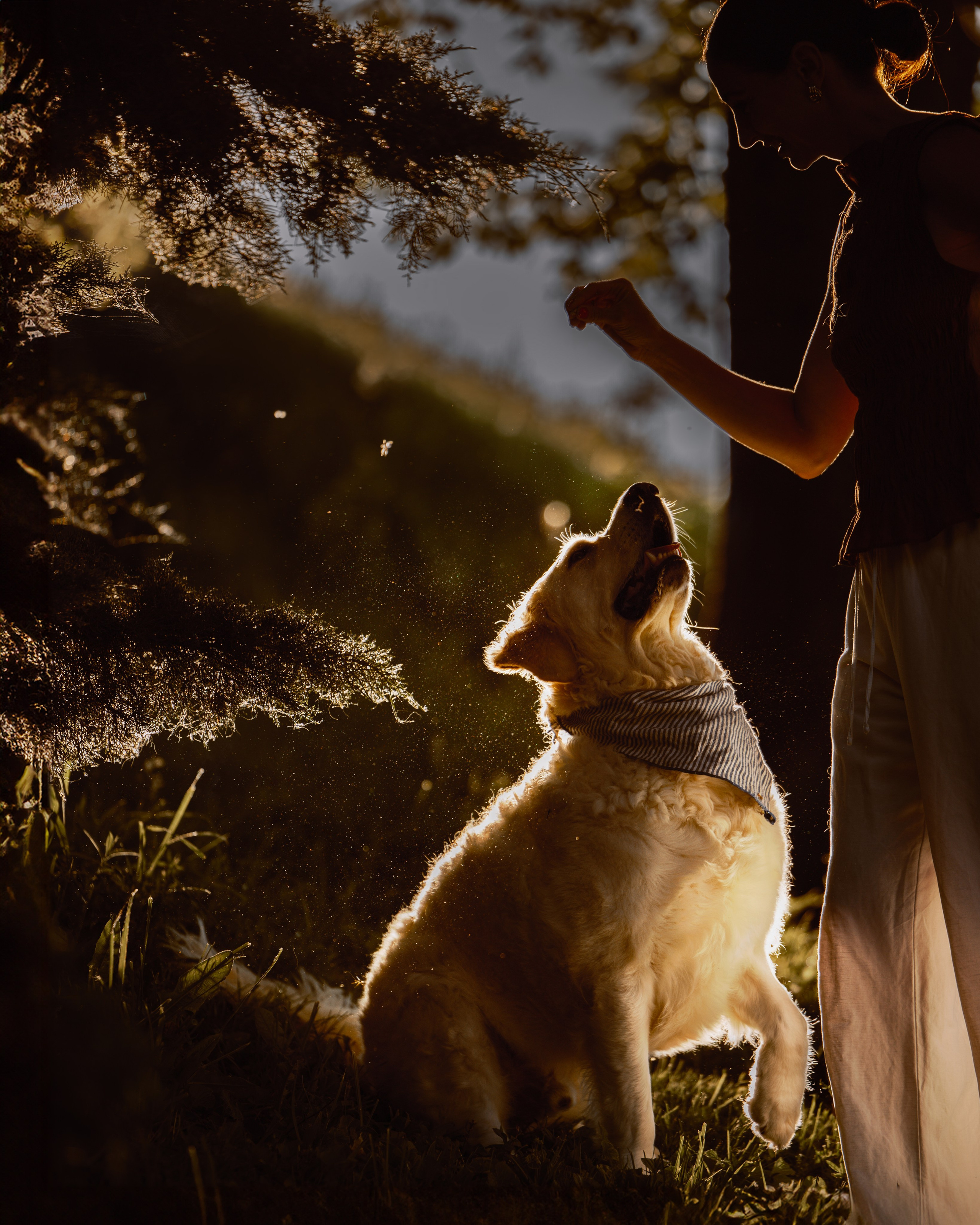 Billy & Emily. Pet Photographer Viktoriya