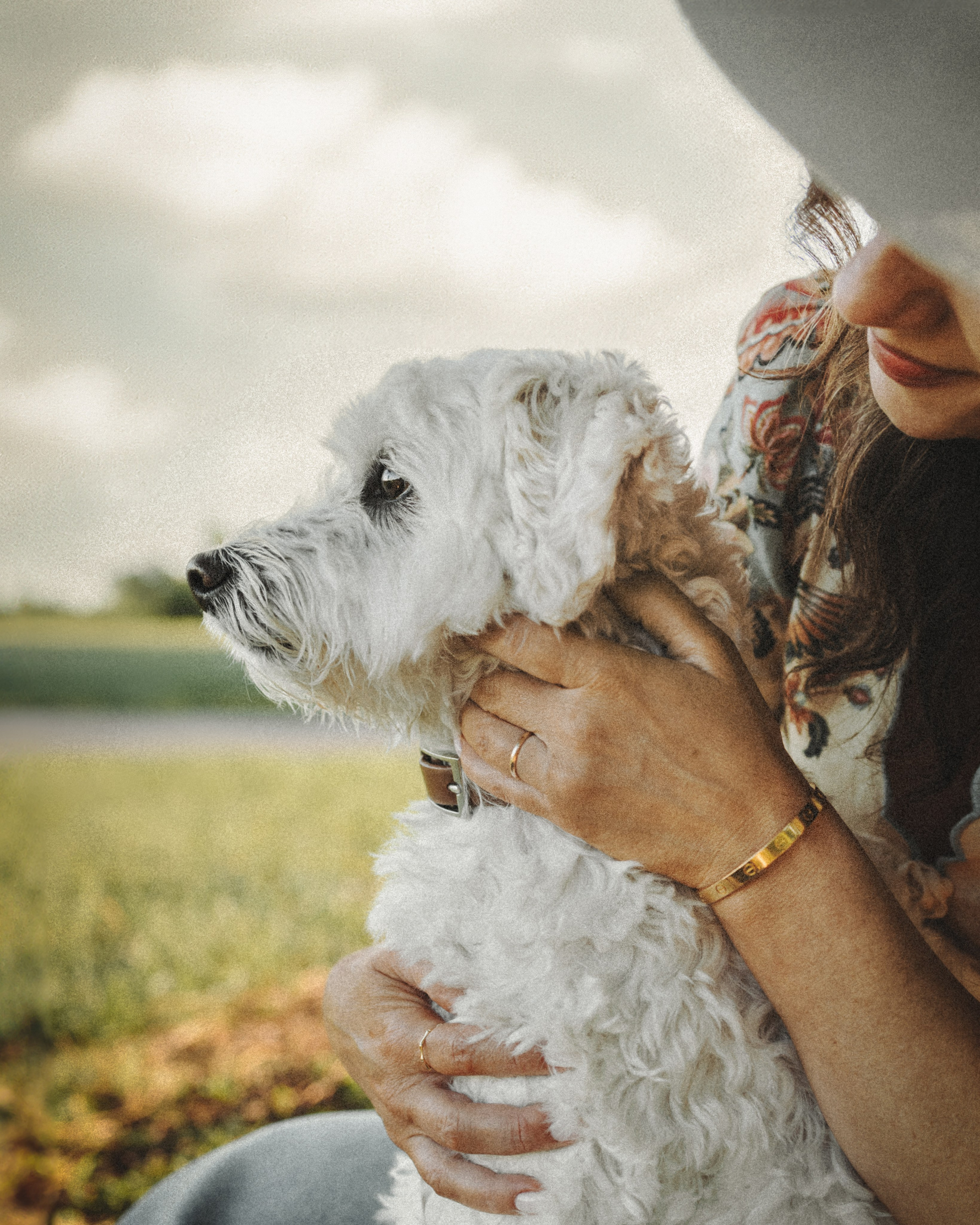 Casey & Natalie. Pet Photographer Viktoriya