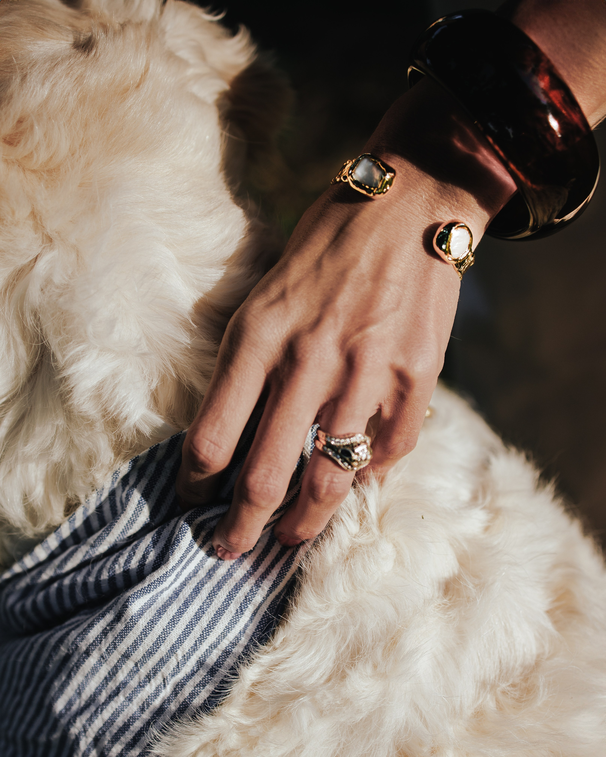 Billy & Emily. Pet Photographer Viktoriya