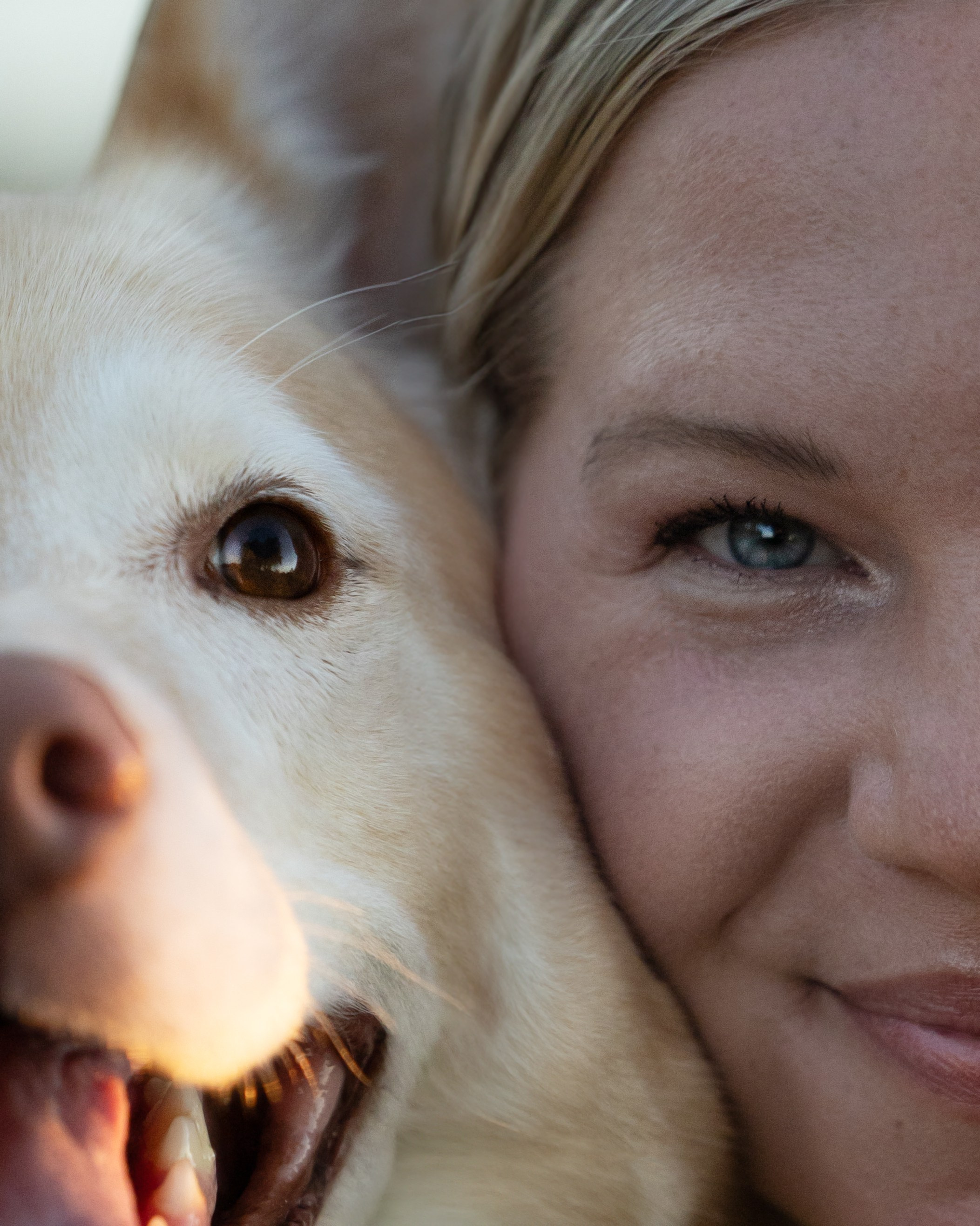 Chance, Carly & Mike. Pet Photographer Viktoriya