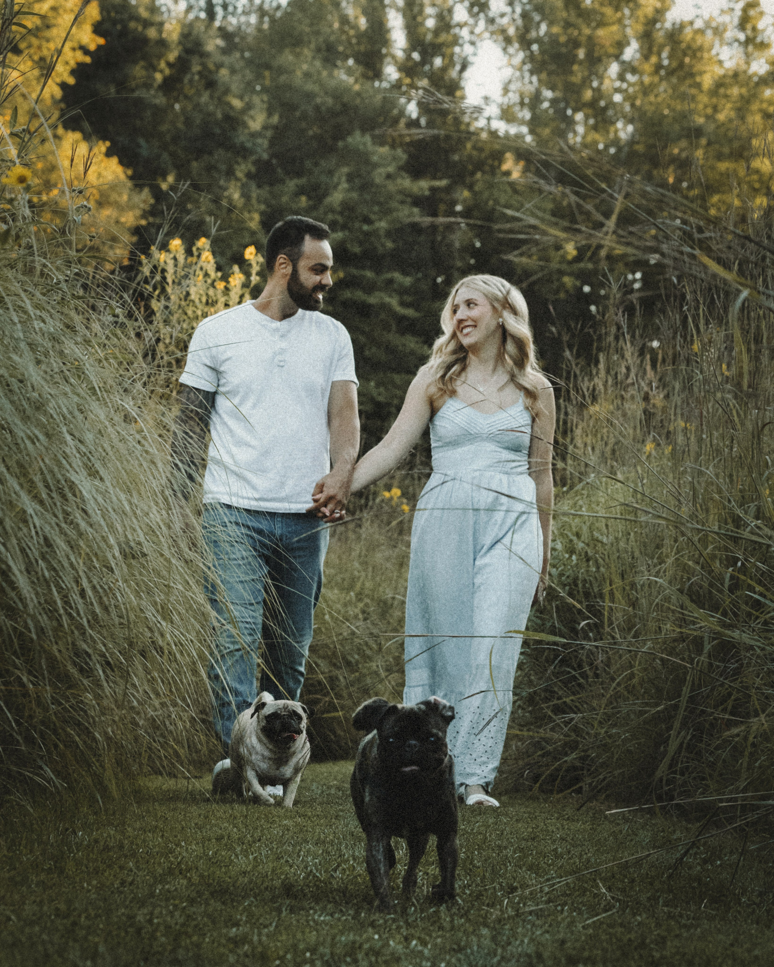 Remy, Pancake, Sydney & Michael. Pet Photographer Viktoriya
