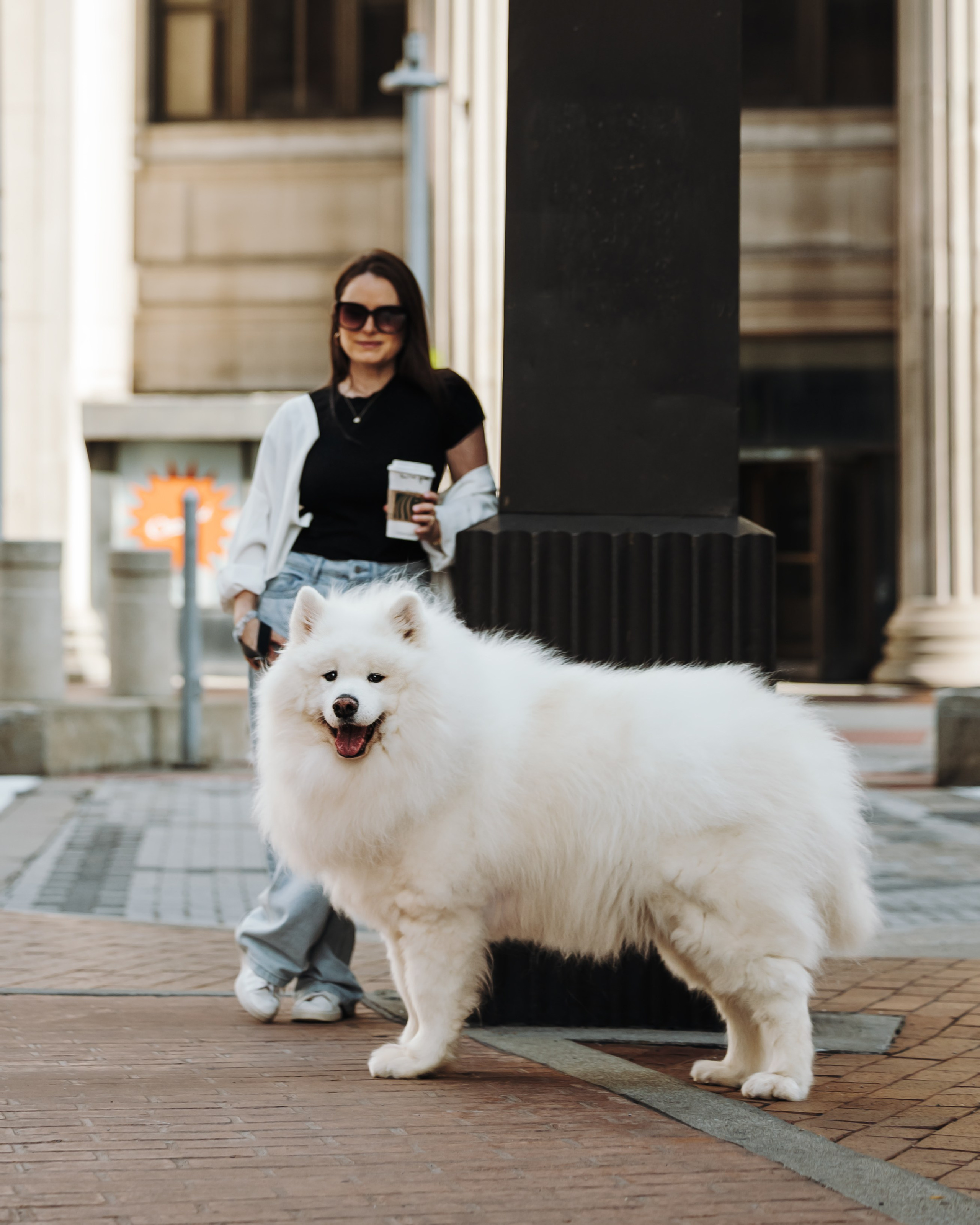 Mishka & Yuliya. Pet Photographer Viktoriya