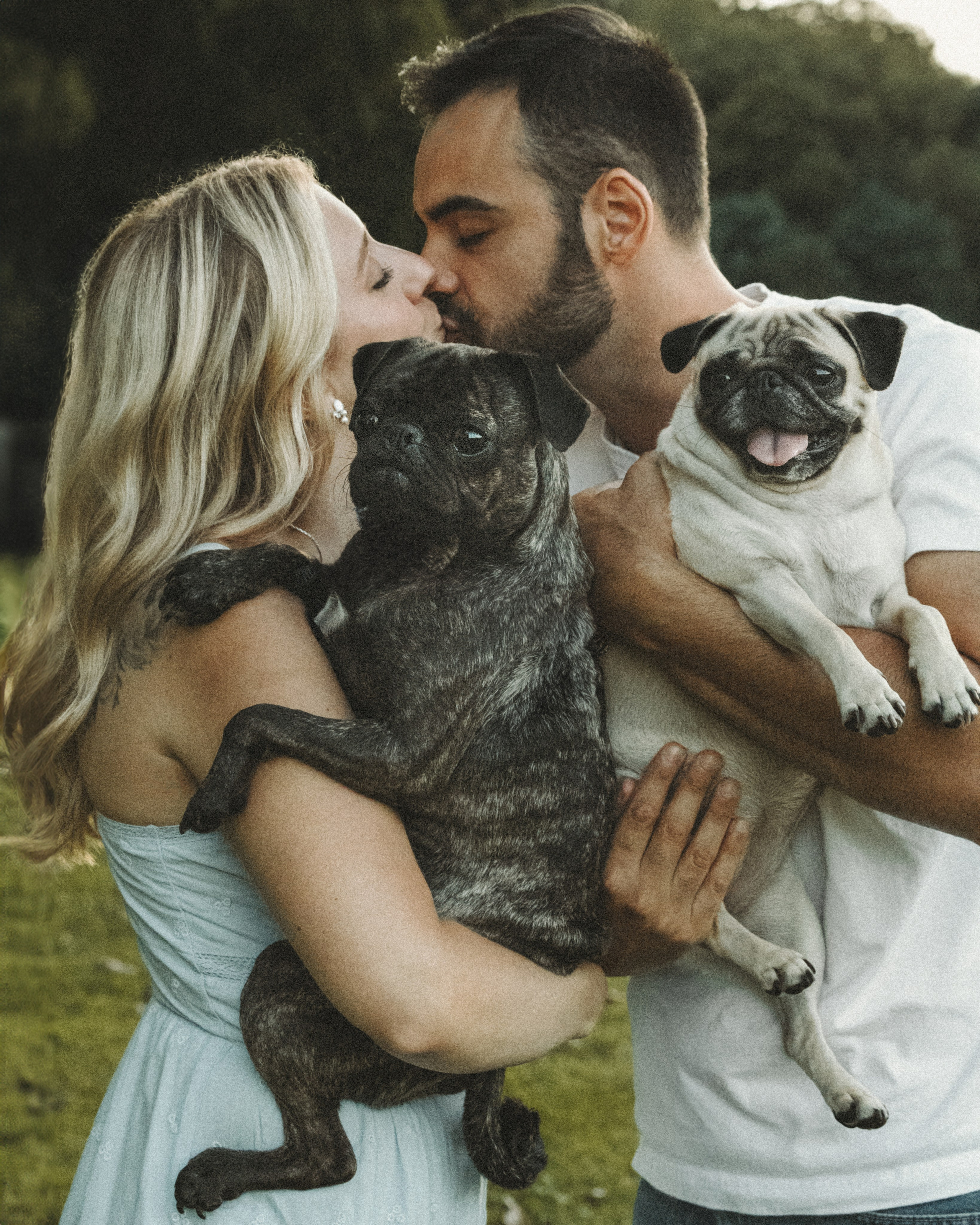 Remy, Pancake, Sydney & Michael. Pet Photographer Viktoriya