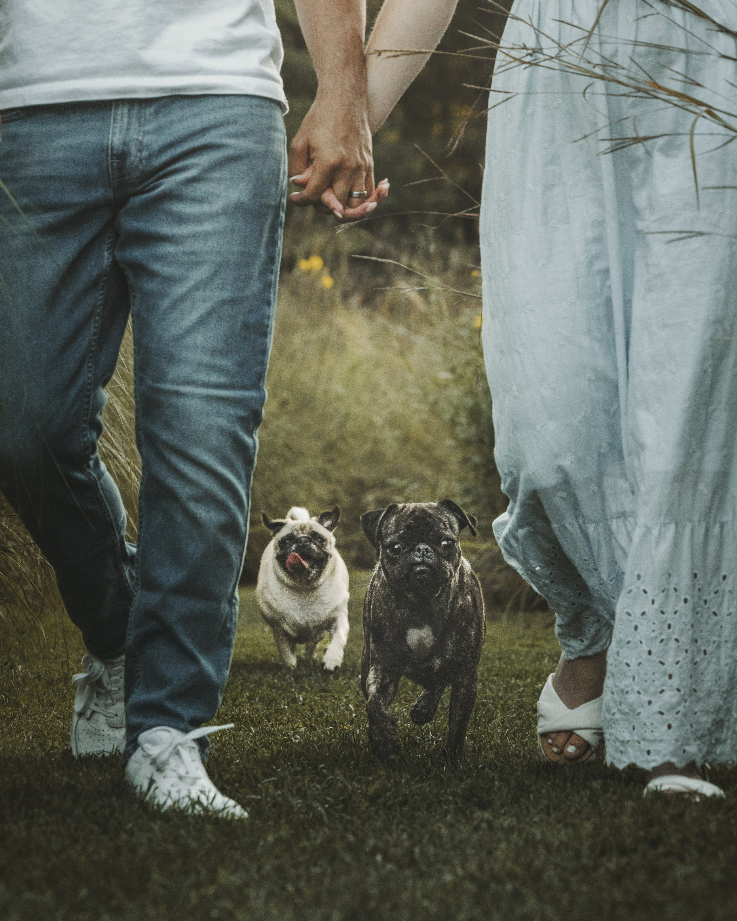Remy, Pancake, Sydney & Michael. Pet Photographer Viktoriya