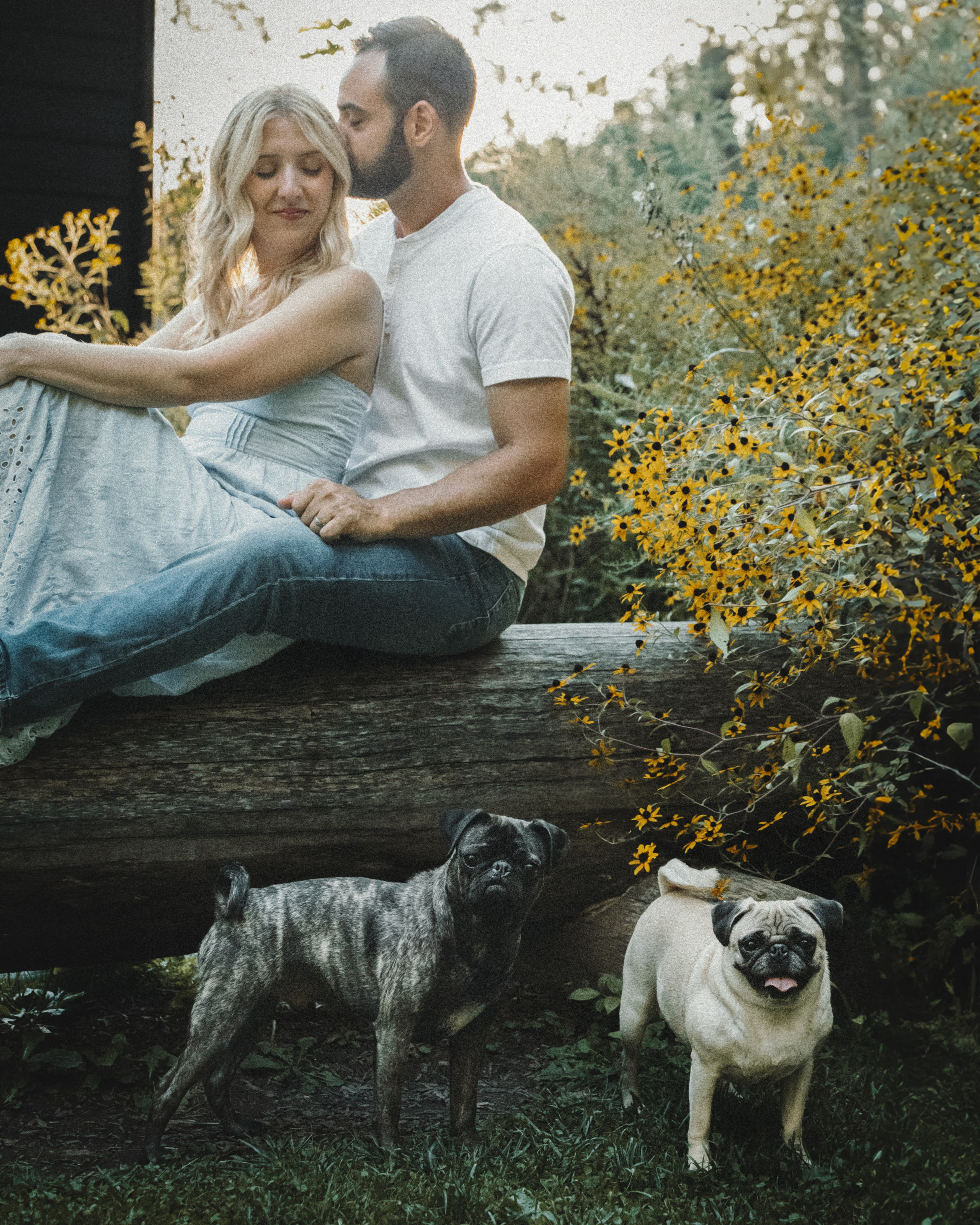 Remy, Pancake, Sydney & Michael. Pet Photographer Viktoriya
