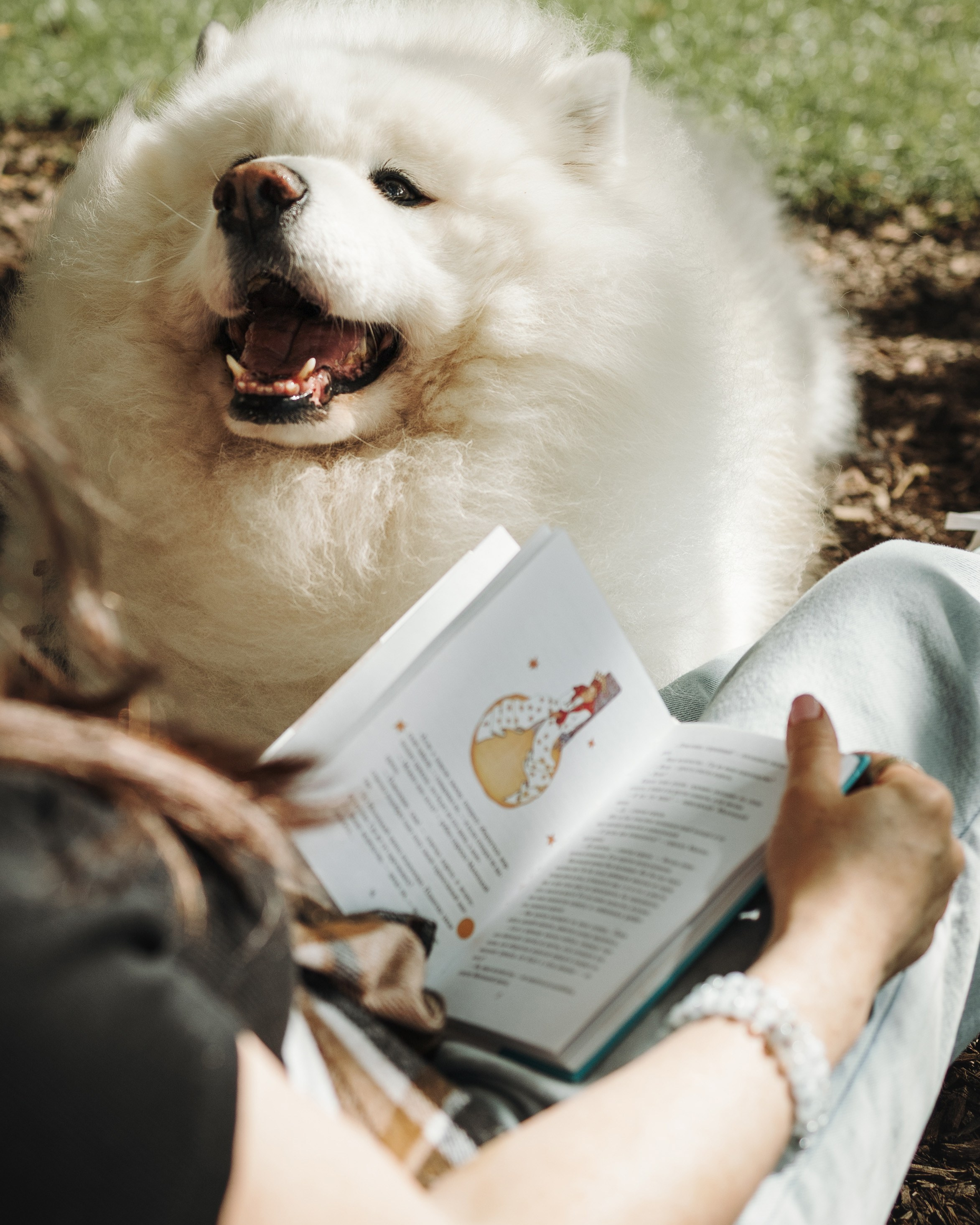 Mishka & Yuliya. Pet Photographer Viktoriya