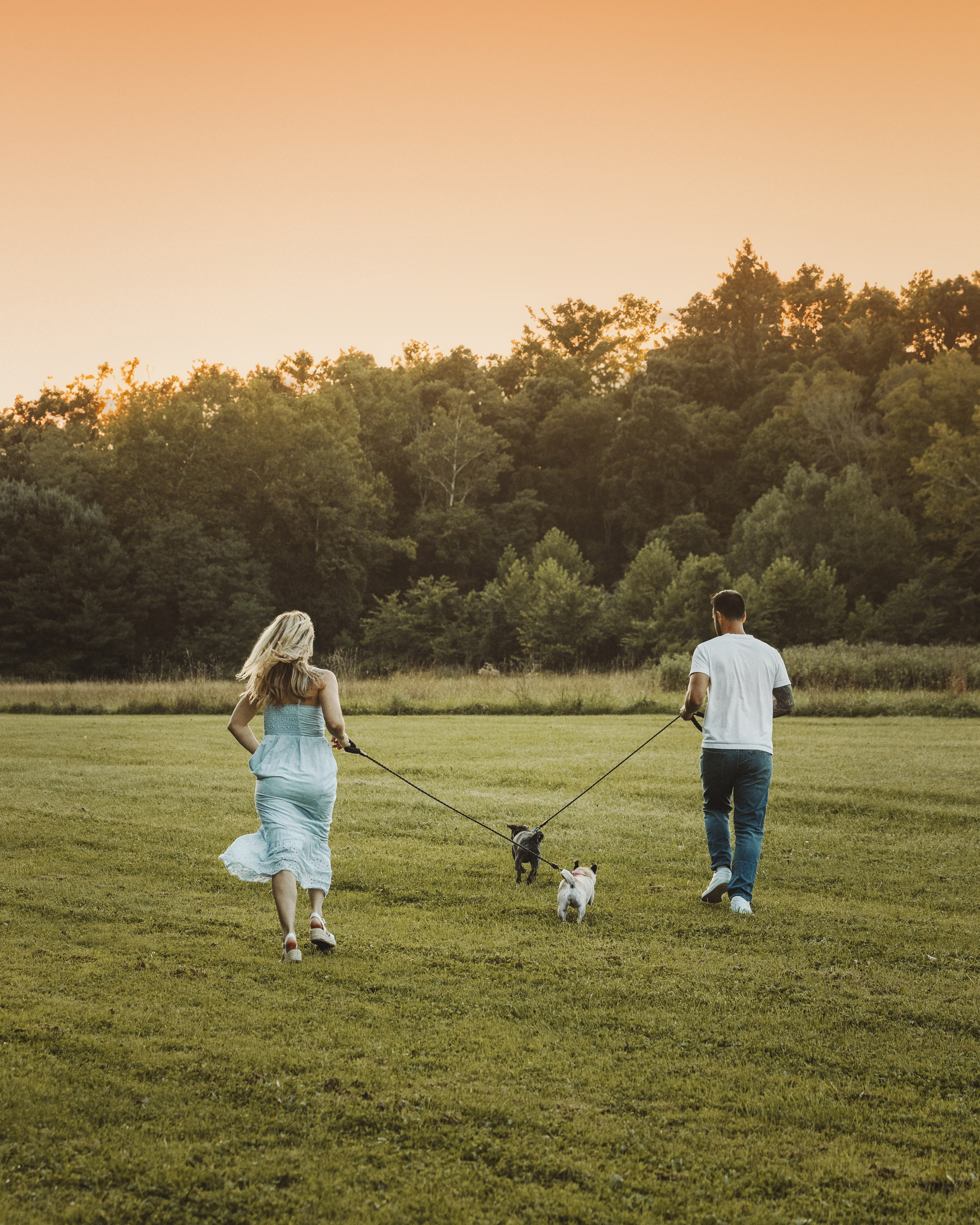 Remy, Pancake, Sydney & Michael. Pet Photographer Viktoriya