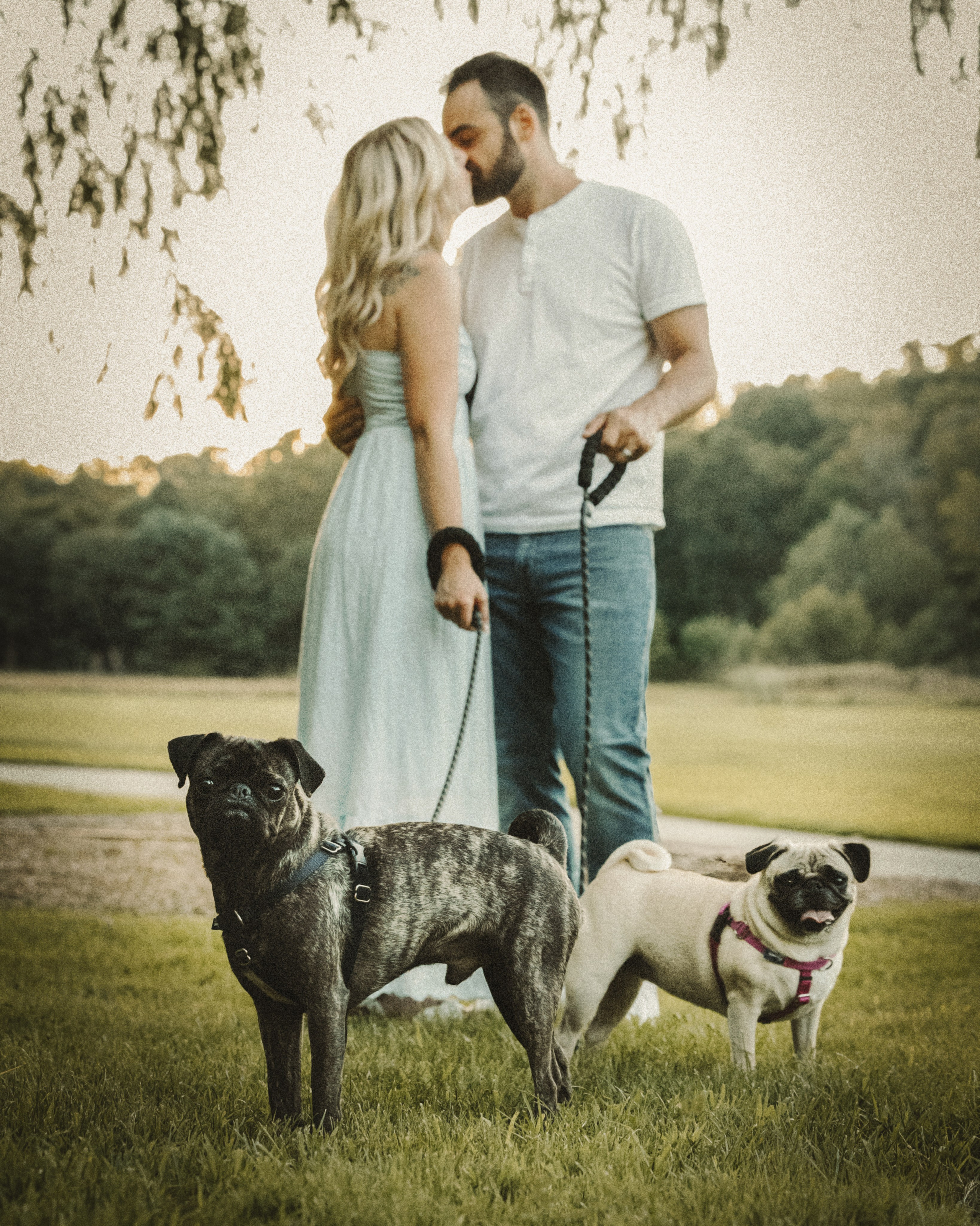 Remy, Pancake, Sydney & Michael. Pet Photographer Viktoriya